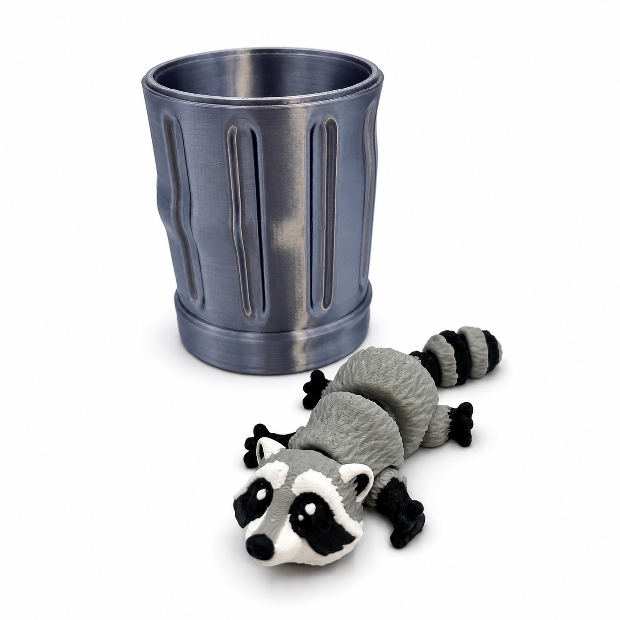 Raccoon and Trash Can