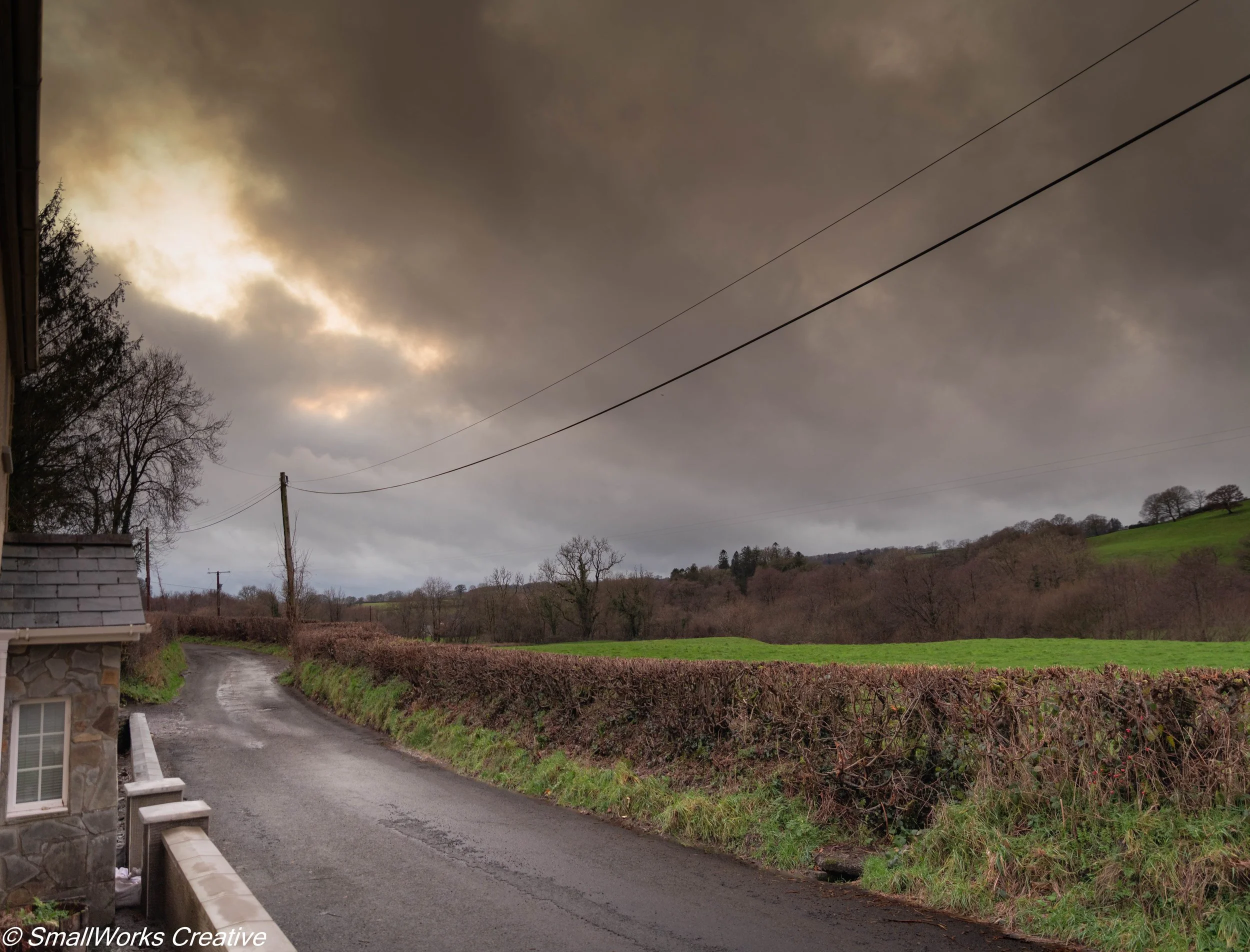 A rural landscape with a winding road, leafless trees, a hedge, green fields, and a cloudy sky during dusk.