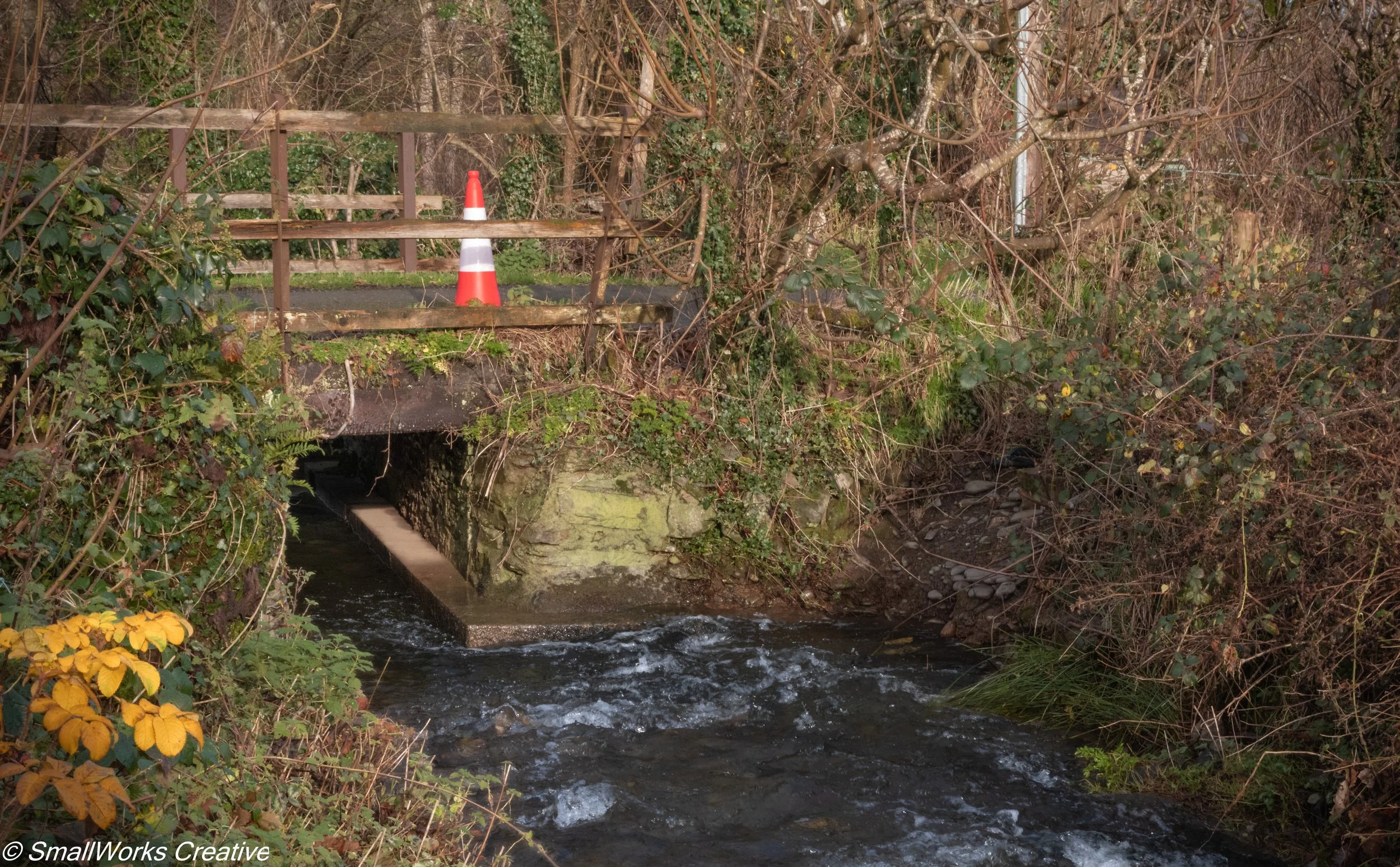 A small creek flowing under a concrete bridge, with a wooden fence and an orange and white traffic cone on top of the bridge. Bushes and trees surround the creek area.