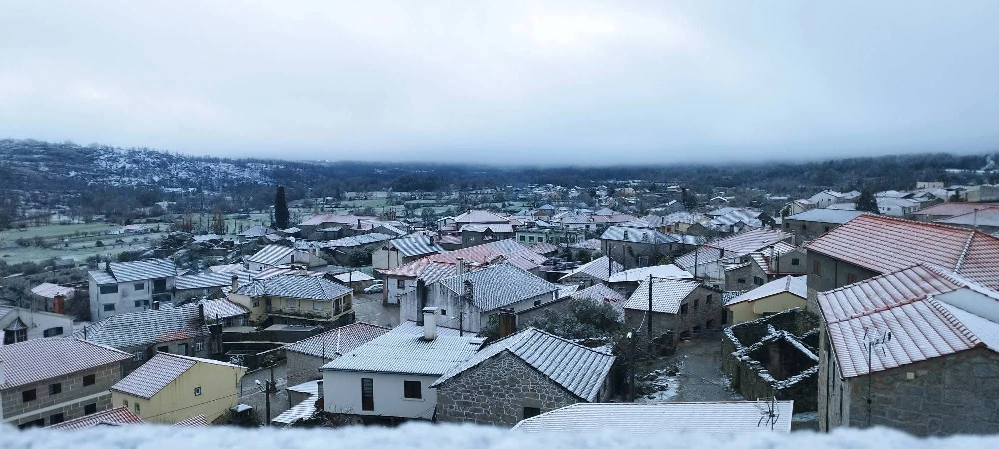 WhatsApp Image 2026-02-24 at 17.30.56.jpeg