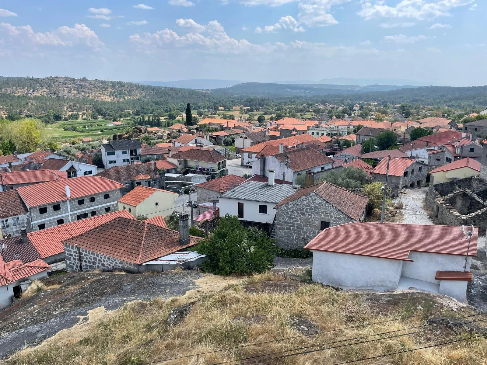 WhatsApp Image 2025-08-08 at 12.26.47 (33).jpeg