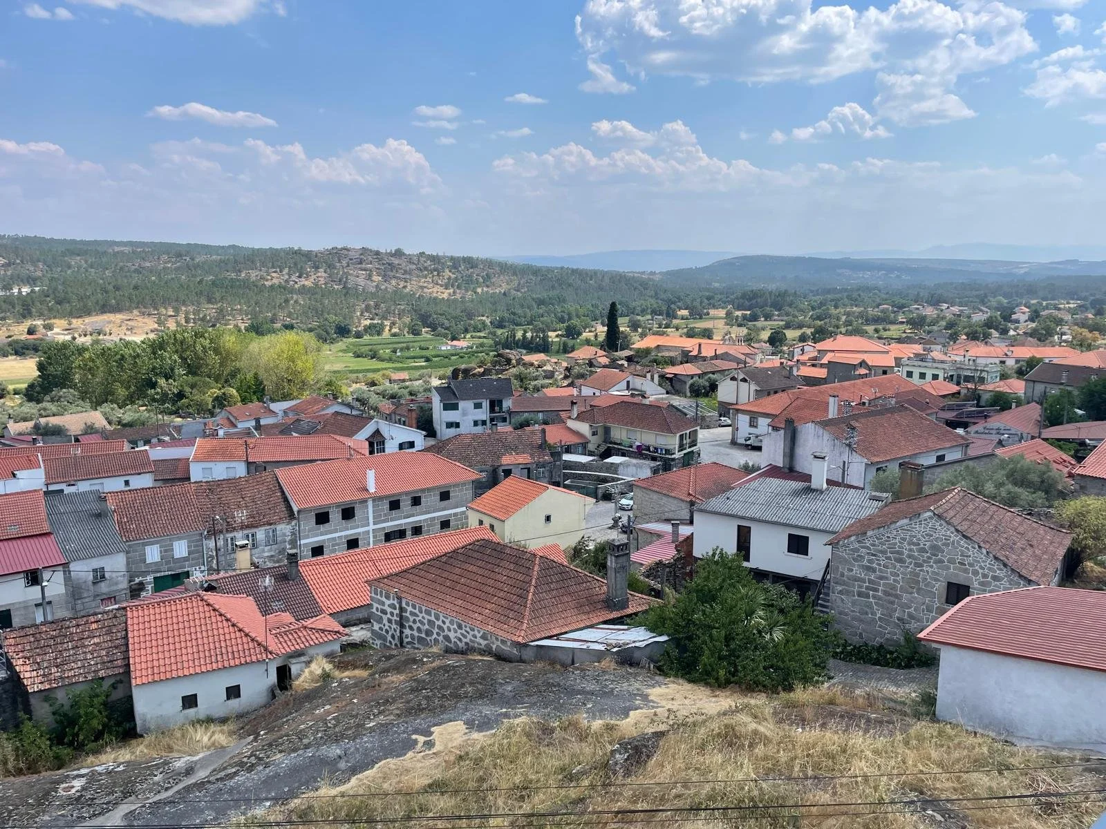 WhatsApp Image 2025-08-08 at 12.26.47 (32).jpeg