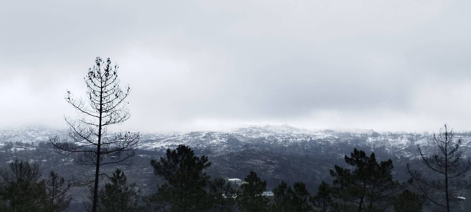 WhatsApp Image 2026-02-24 at 17.31.19.jpeg