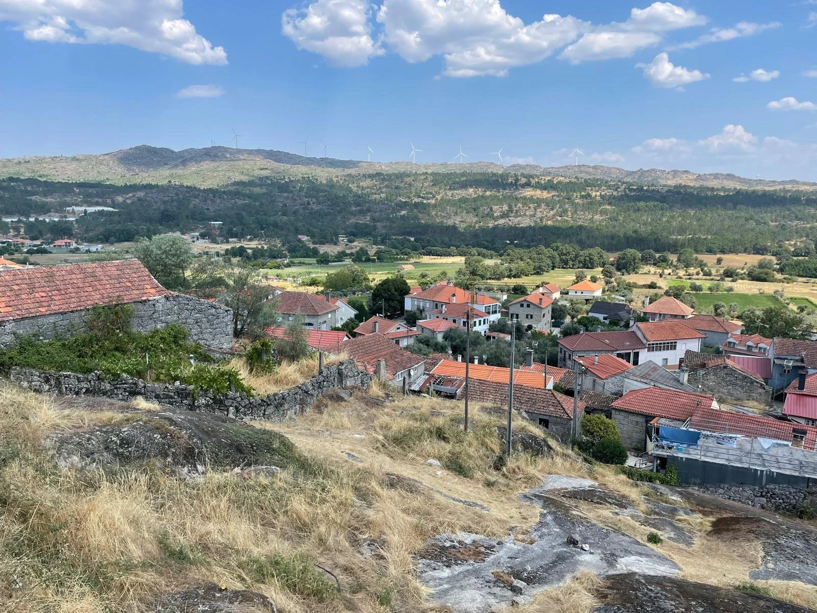 WhatsApp Image 2025-08-08 at 12.26.47 (31).jpeg