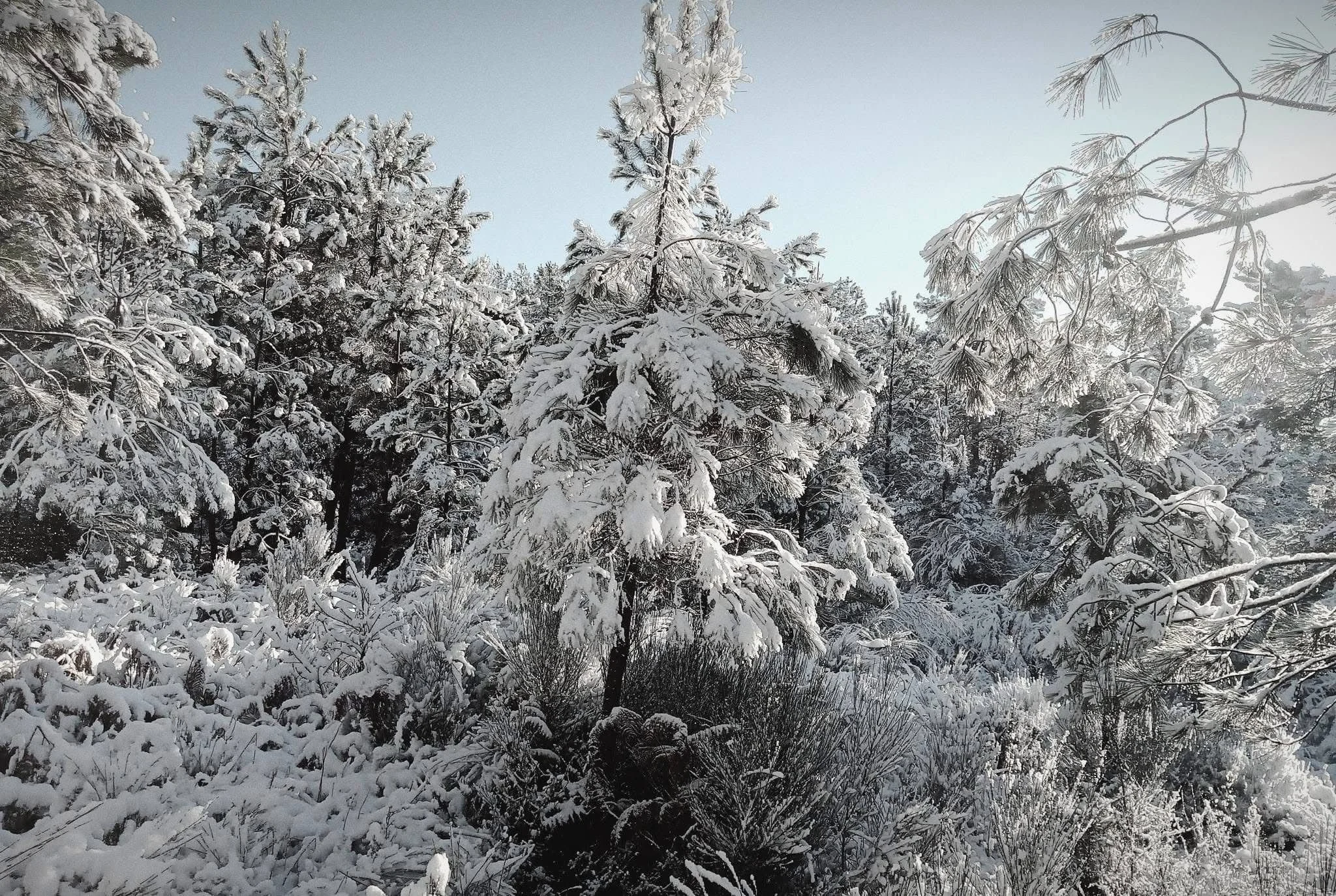 WhatsApp Image 2026-02-24 at 17.32.00.jpeg