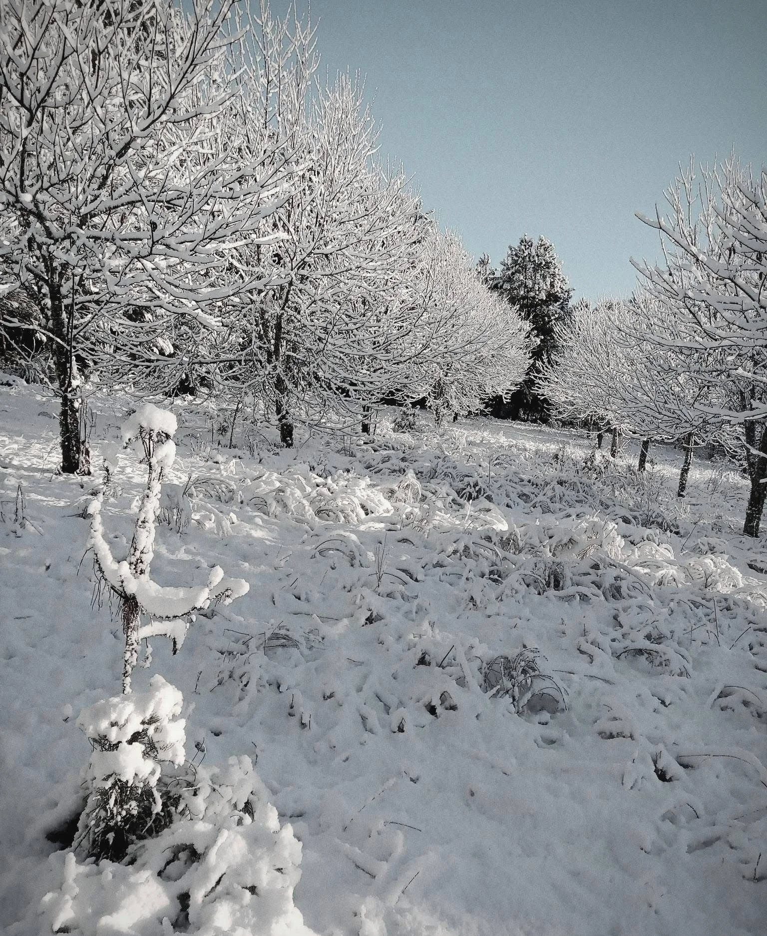 WhatsApp Image 2026-02-24 at 17.31.41.jpeg