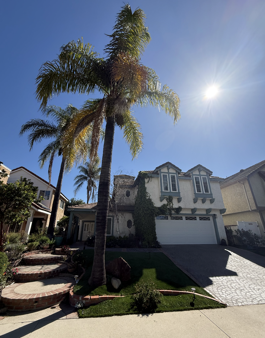 A tall palm tree in front of a two-story house with a white garage door, surrounded by a well-maintained front yard with brick steps, green grass, and small plants, under a bright blue sky with the sun shining.