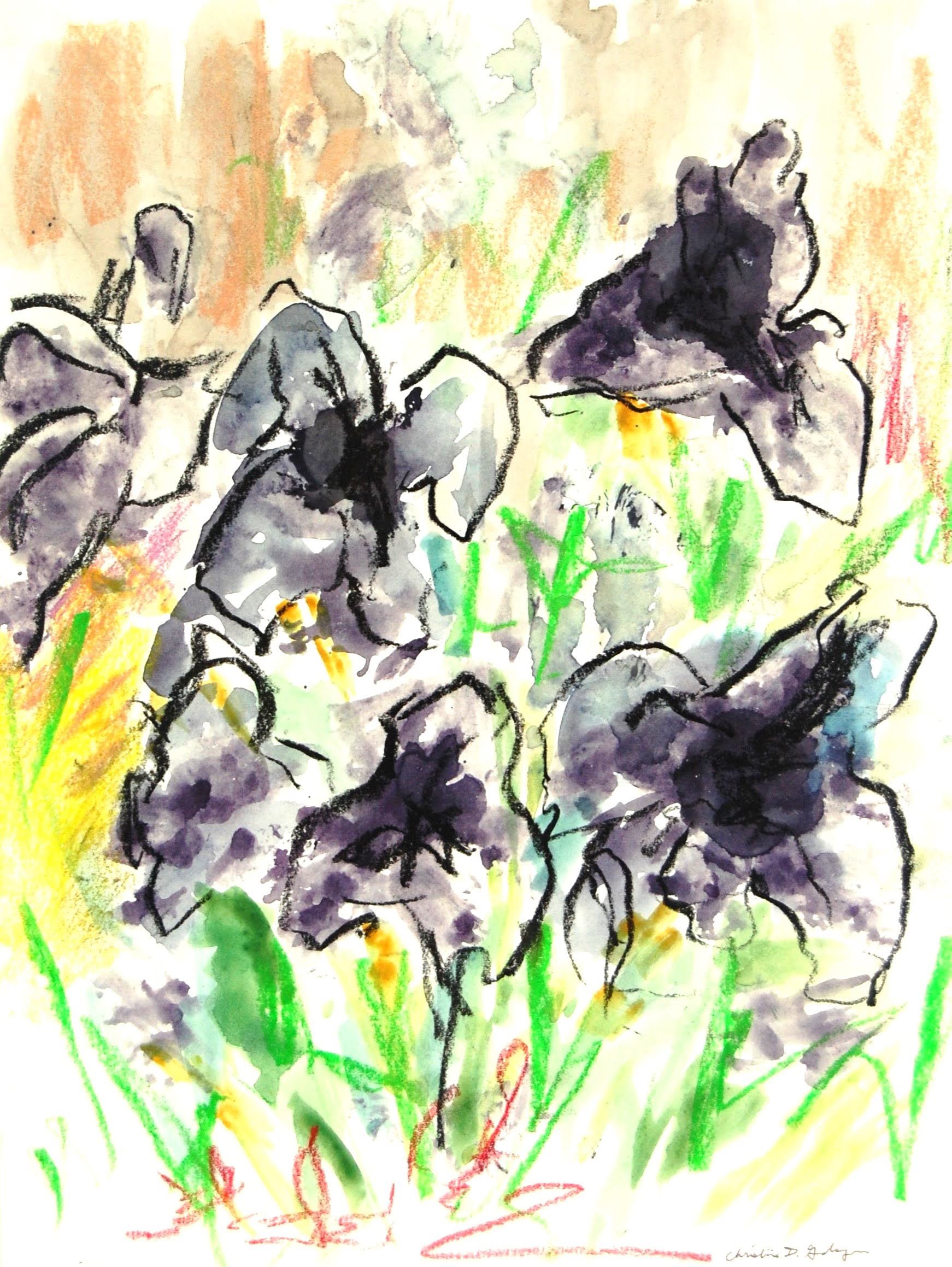 Bearded black iris ink painting image only.JPG