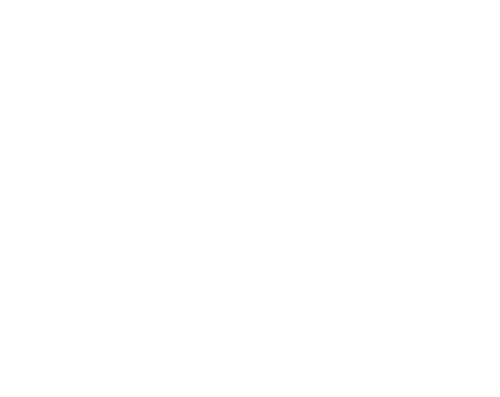 ALLY BROWN