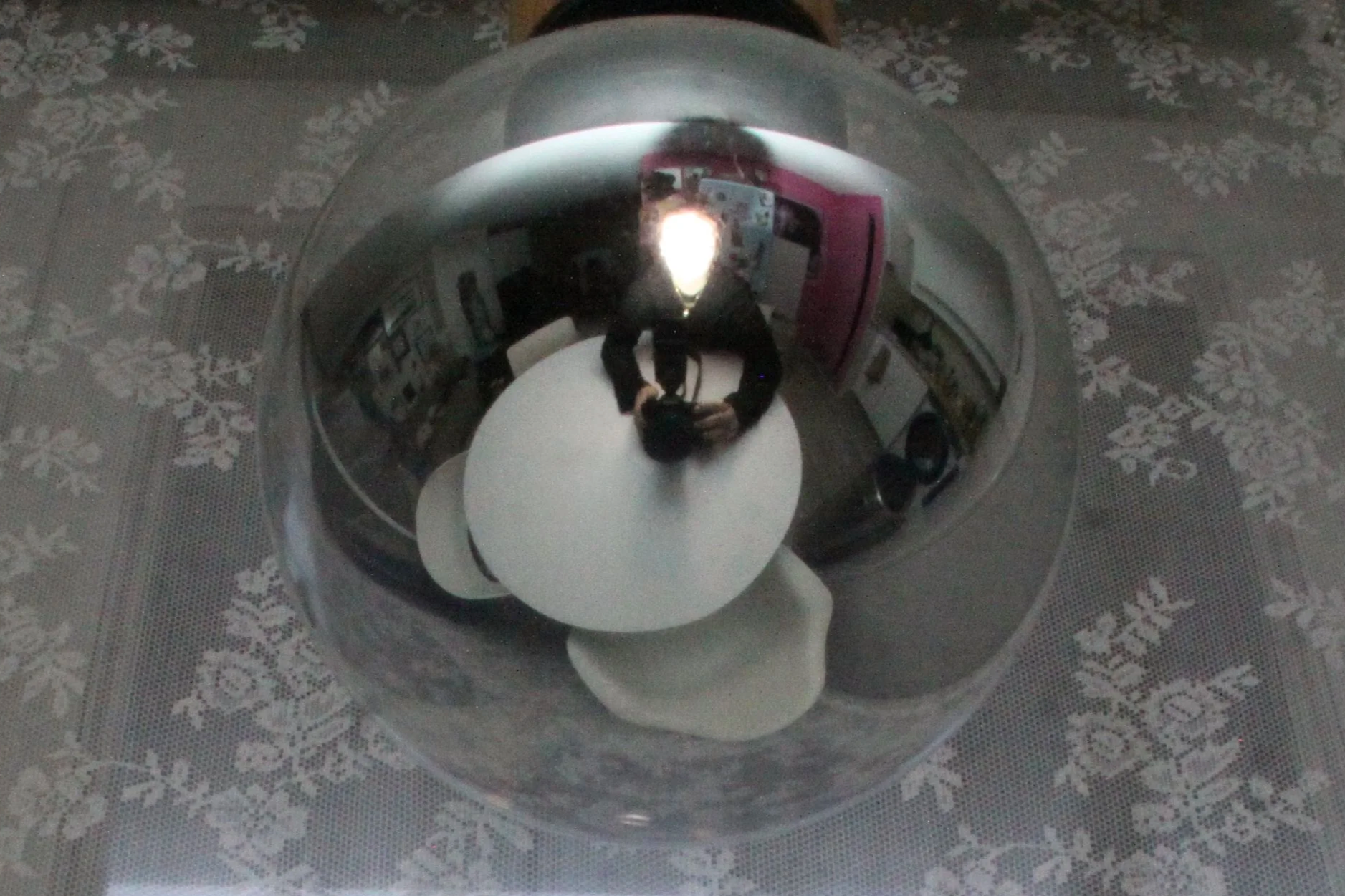 PHOTOGRAPHY  - FREE WORK - ALIENATING