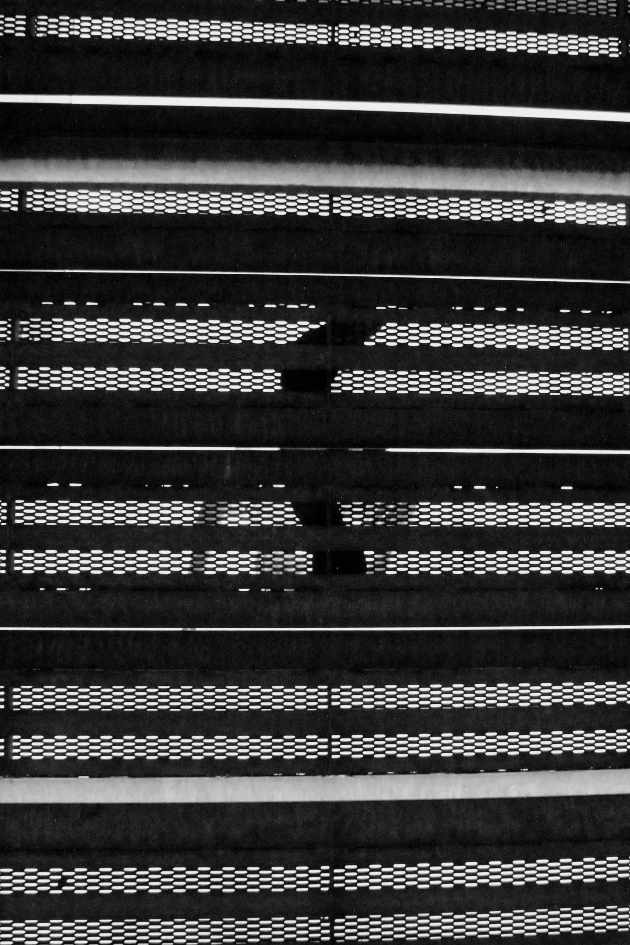 Black and White _ Series Lines _ 2025