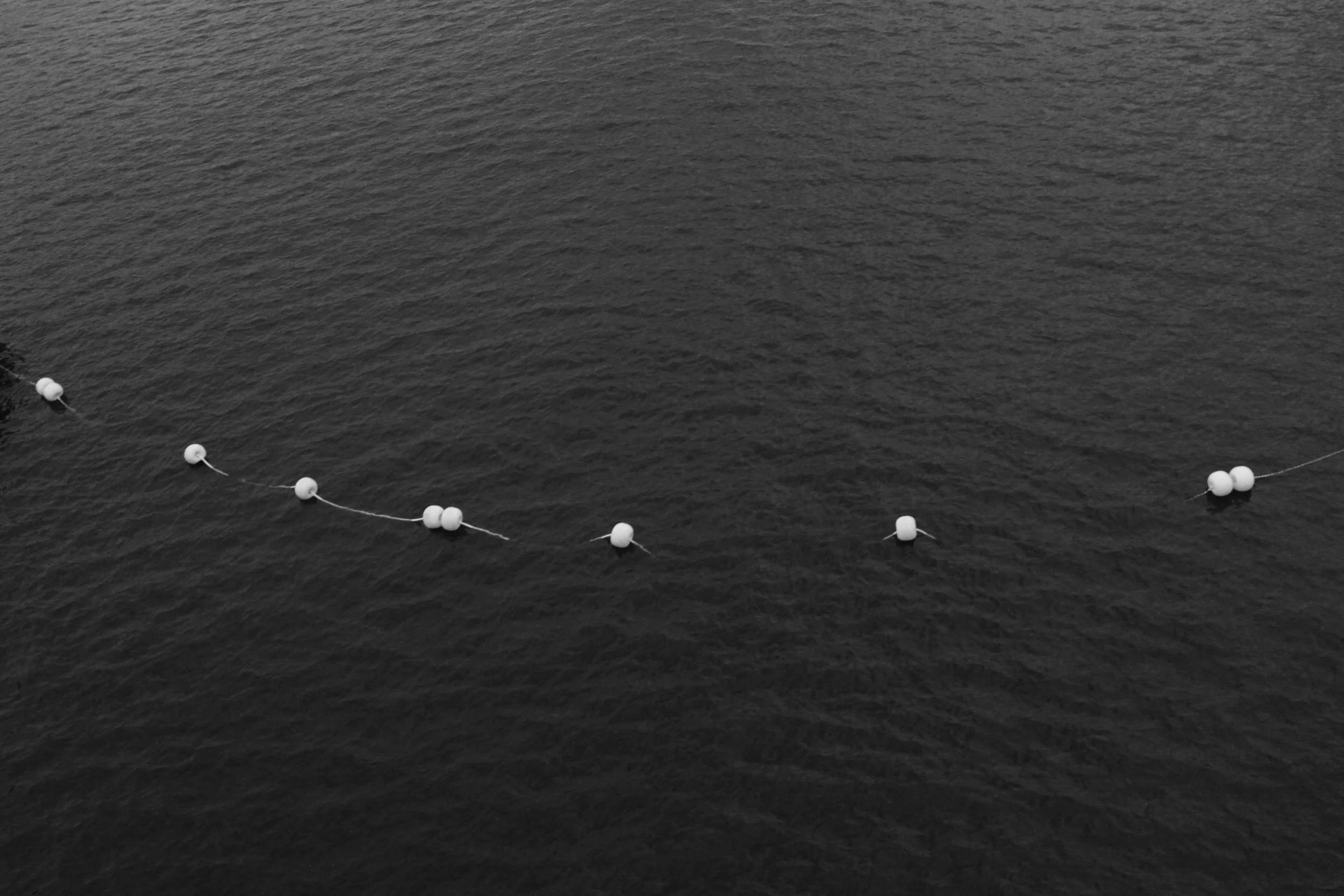 Black and White _ Series Lines _ 2025
