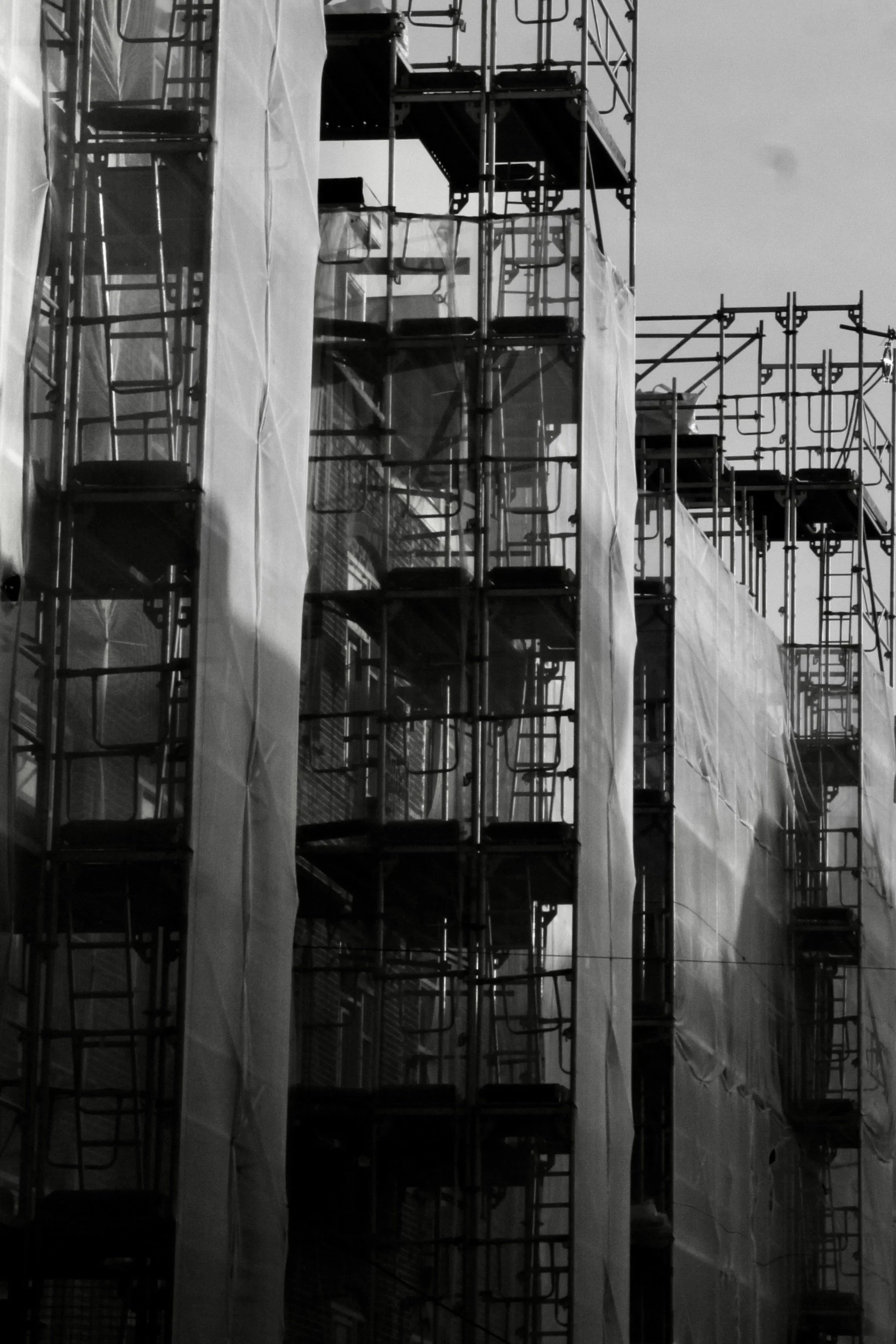 Black and White _ Series Lines _ 2025