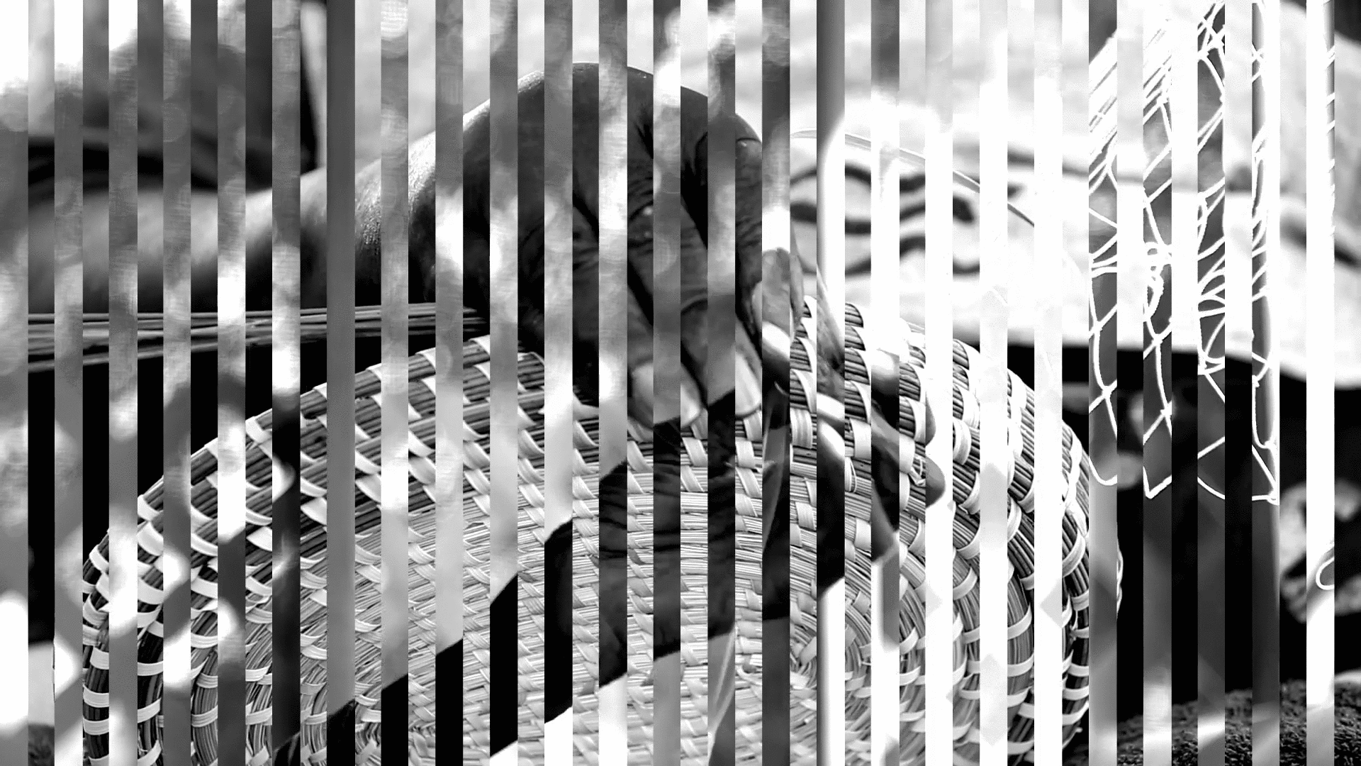 Light Weaver (2015, 3 min loop, edition of 4 + 2 AP). The migration of black bodies across the Atlantic Ocean during the transatlantic slave trade in the seventeenth and eighteenth centuries produced a distinctive African American community referred
