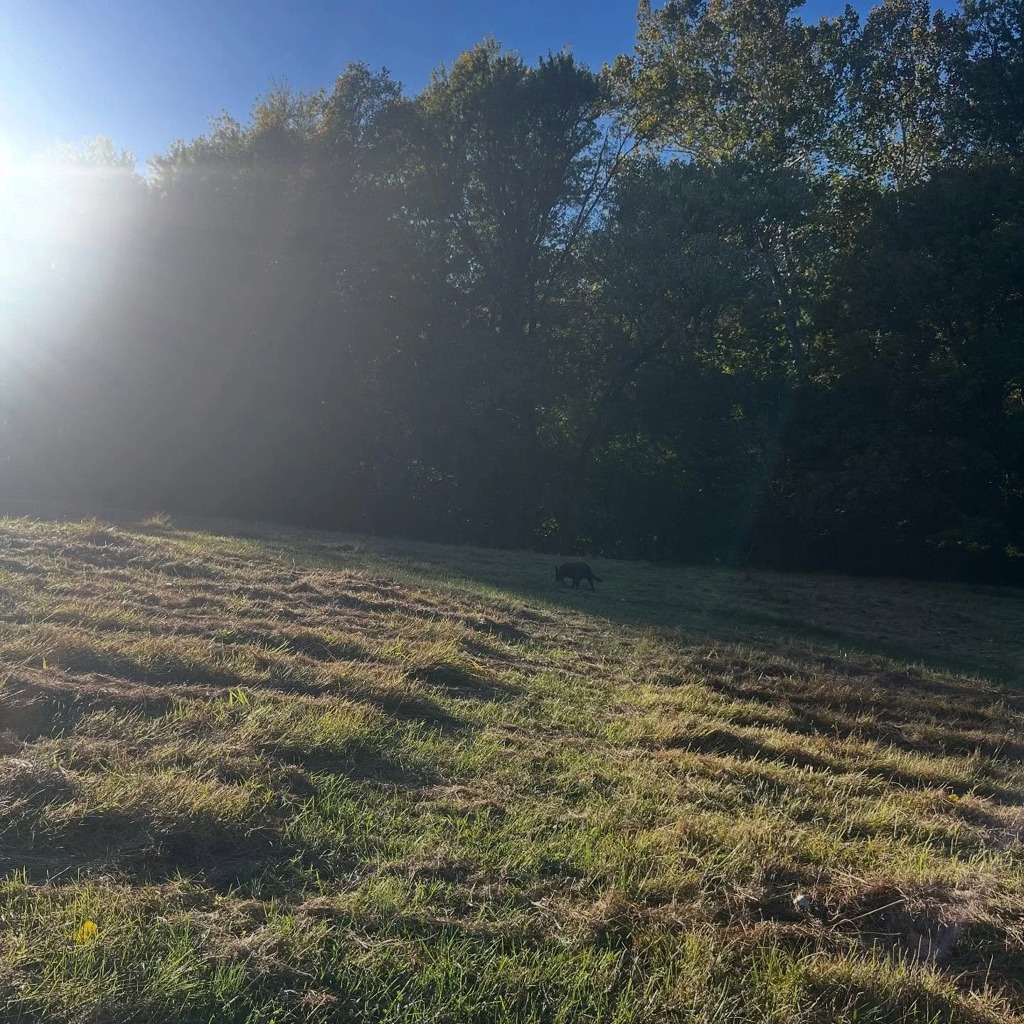 Still pretty green around here&hellip; 🍃🍂🍃