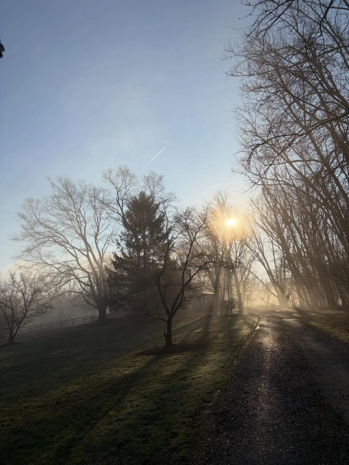 The Landing is desperately trying to spring&hellip;

#leesburgva #luckettsva #frederickmd #lovettsvilleva #spring