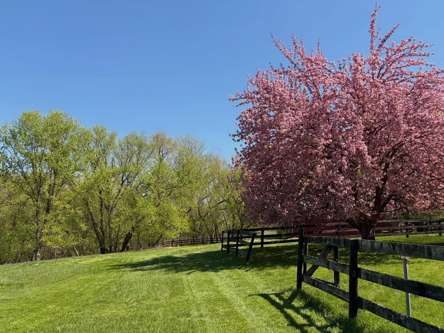 All the green and pink and blue. 🌱🌸 🩵