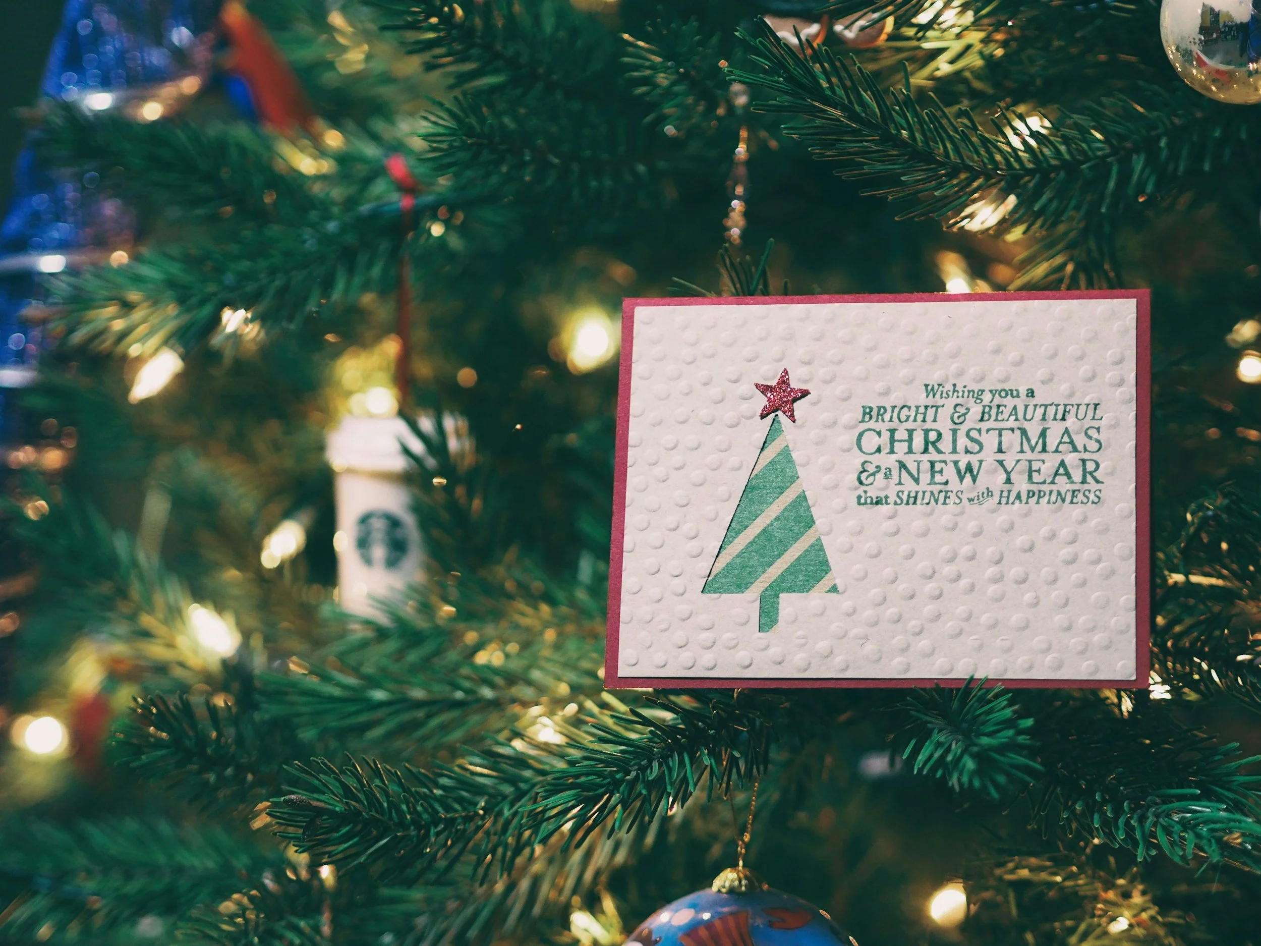 Christmas Cards Are Ready to Deliver!