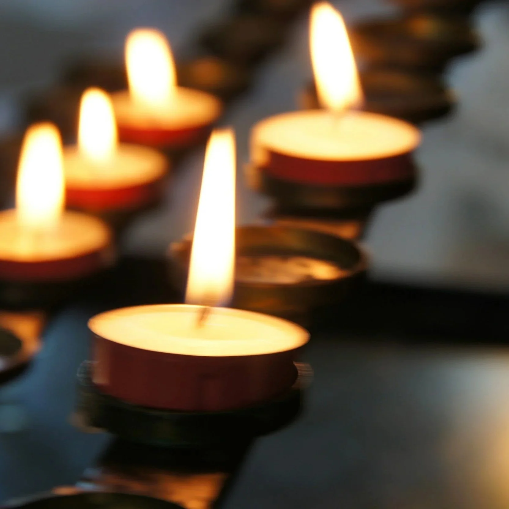 Celebration of Life of June Rose