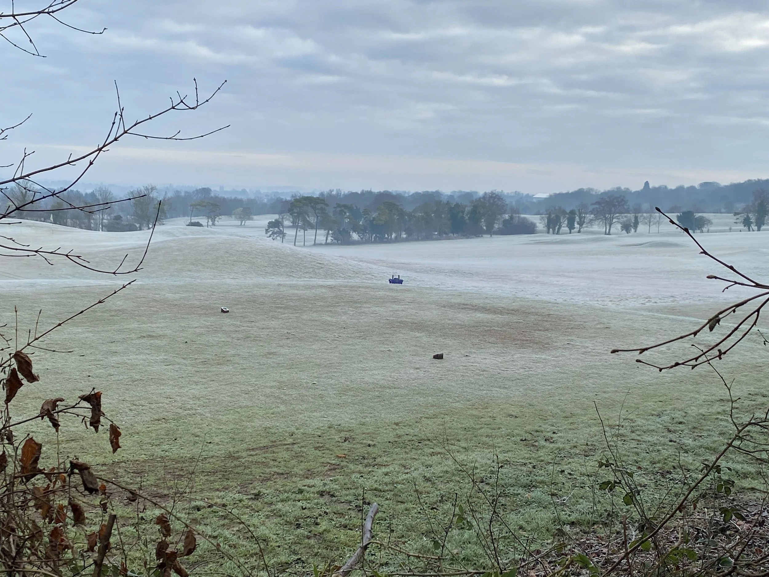 A landscape view of a grassy field with leafless trees in the distance under a cloudy sky, with some branches in the foreground.