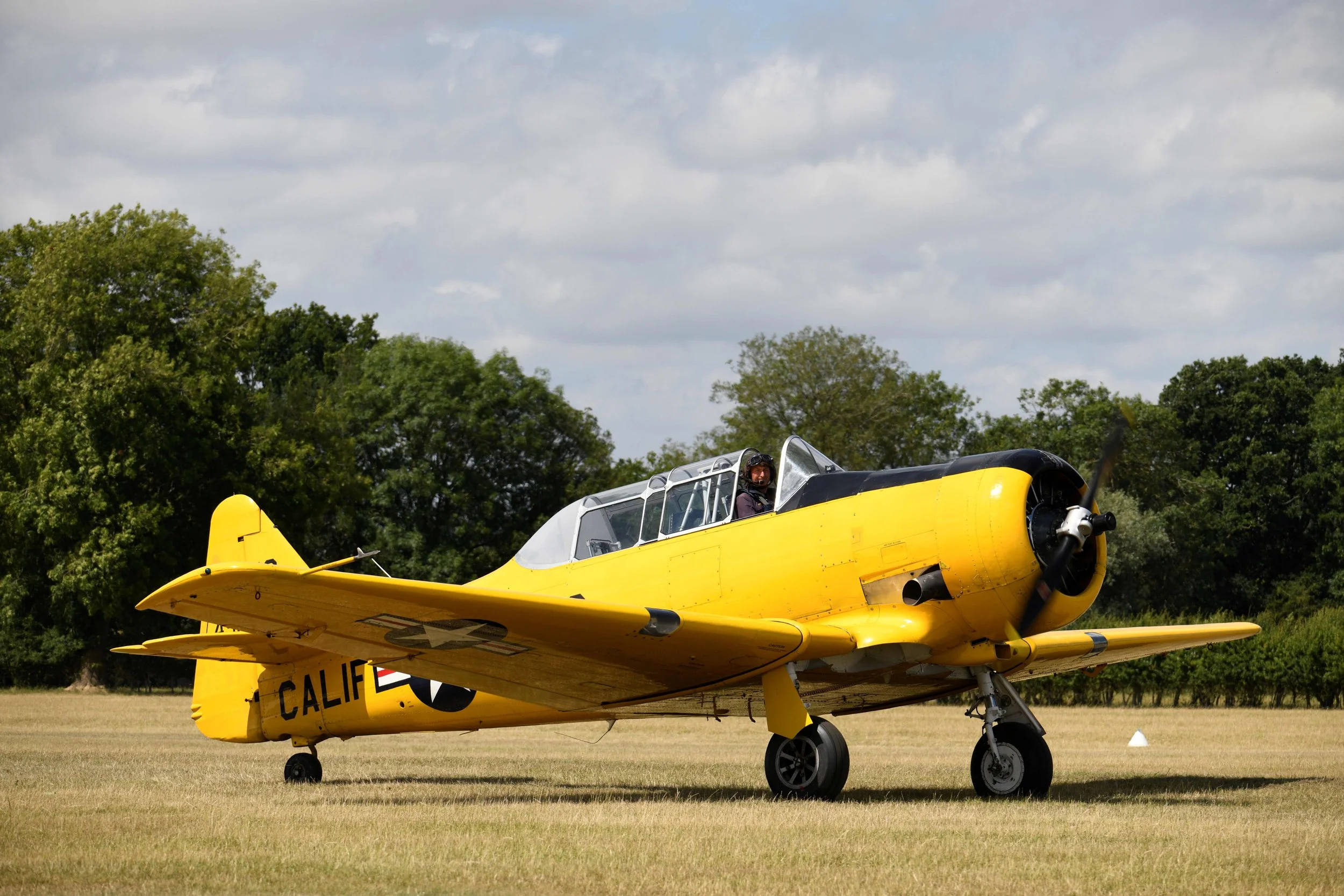 A yellow vintage aircraft with a pilot in the cockpit parked on a grassy field with trees and a cloudy sky in the background.