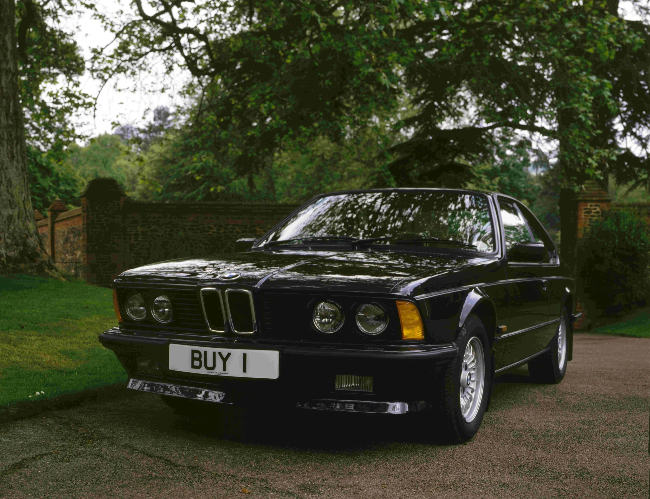A black BMW car with a 'BUY' license plate, parked on grass under trees with green leaves, and brick walls and chimneys in the background.