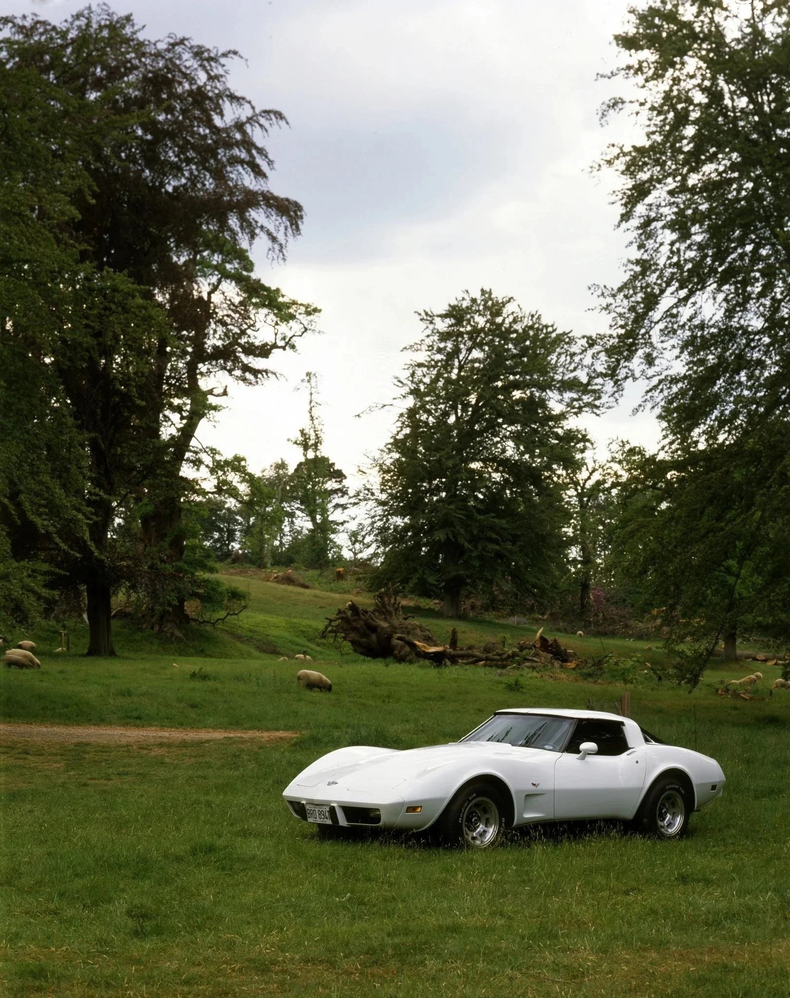 A white sports car parked on a grassy field, with a wooded landscape and sheep grazing in the background, under a cloudy sky.