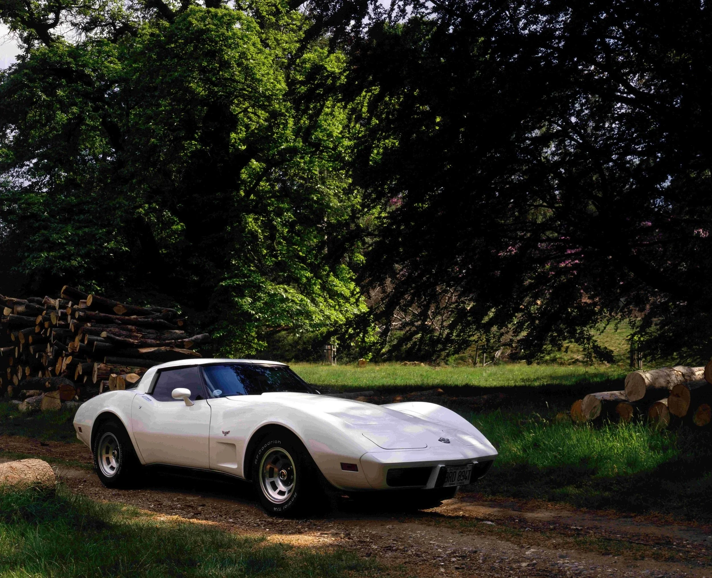 A white sports car parked on grass with a backdrop of large trees and a woodpile.