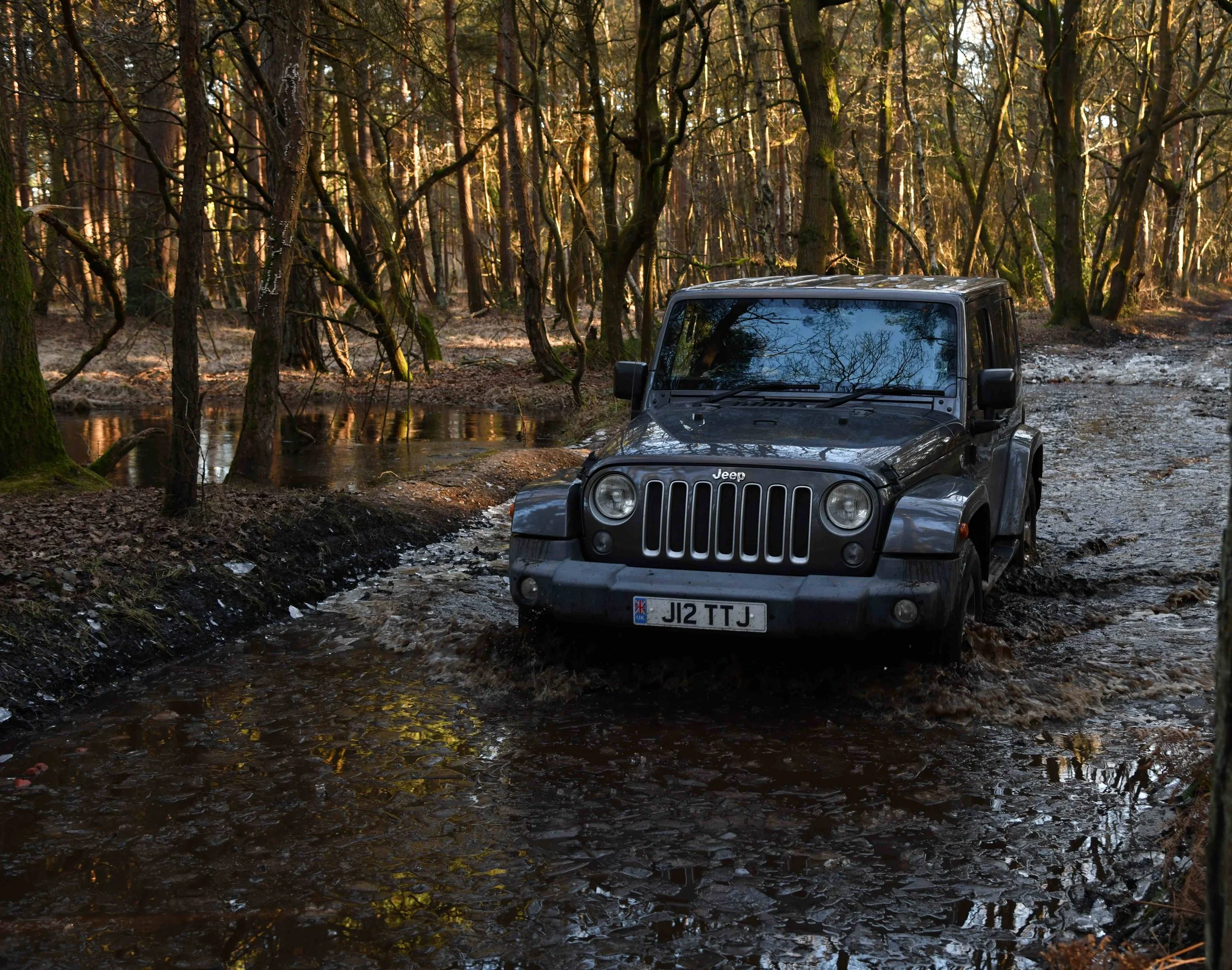 A black Jeep vehicle parked on a dirt trail in a forest with tall leafless trees, some moss-covered, during autumn or winter, with sunlight filtering through the branches.