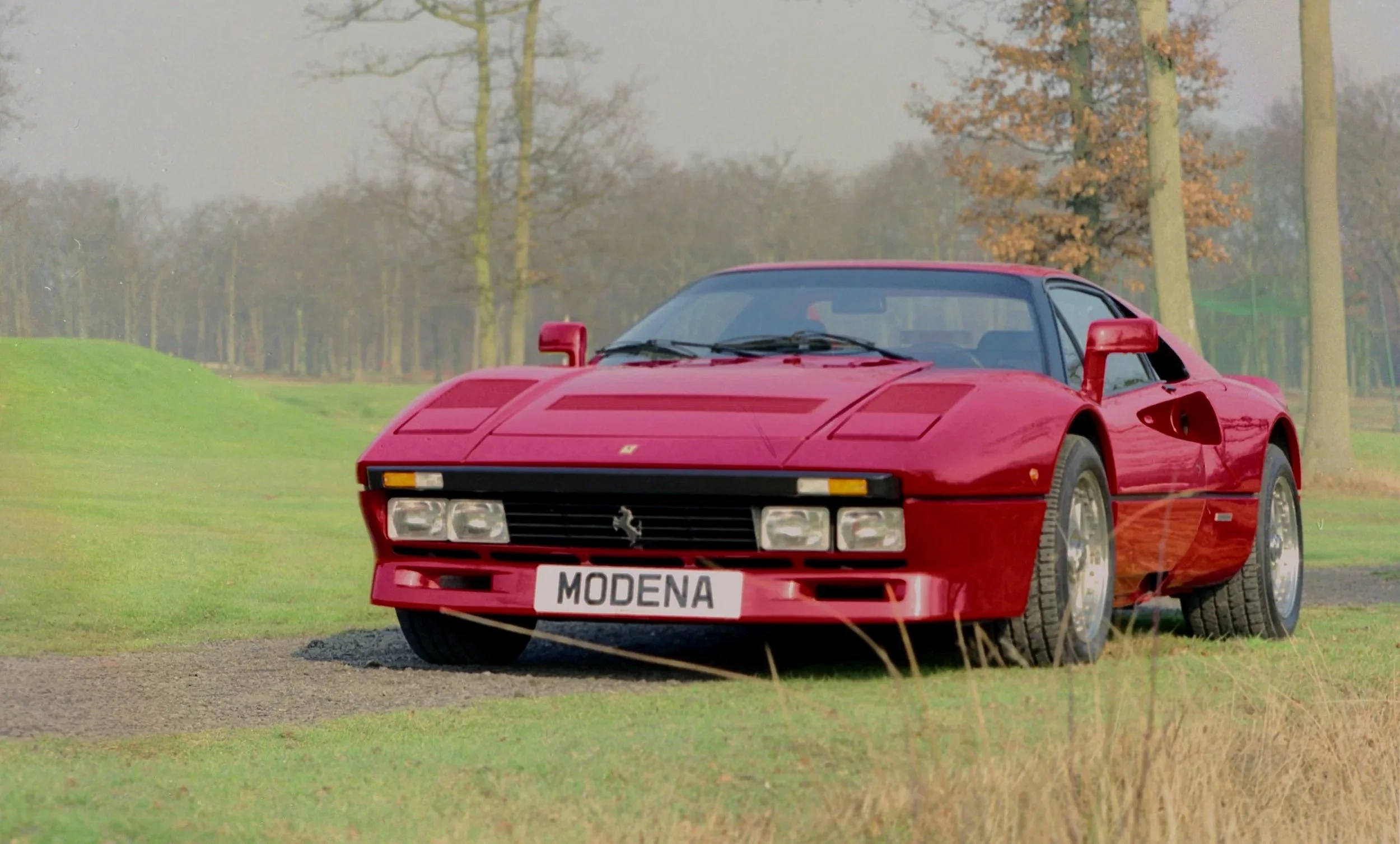 Red sports car, a Ferrari, parked on a grassy area with trees in the background, and a license plate that reads 'MODENA'.