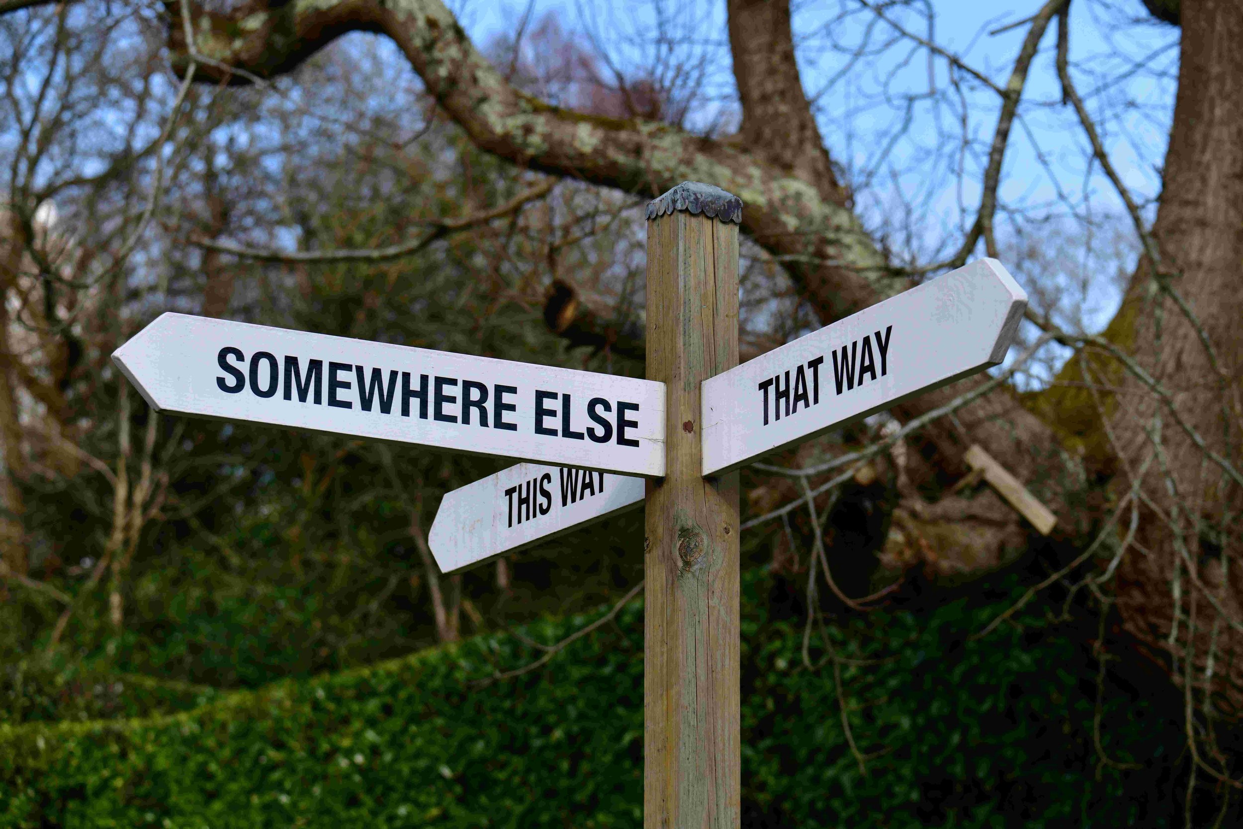 A wooden signpost with three white directional signs reading 'Somewhere Else,' 'That Way,' and 'This Way,' in a tree-filled outdoor setting.