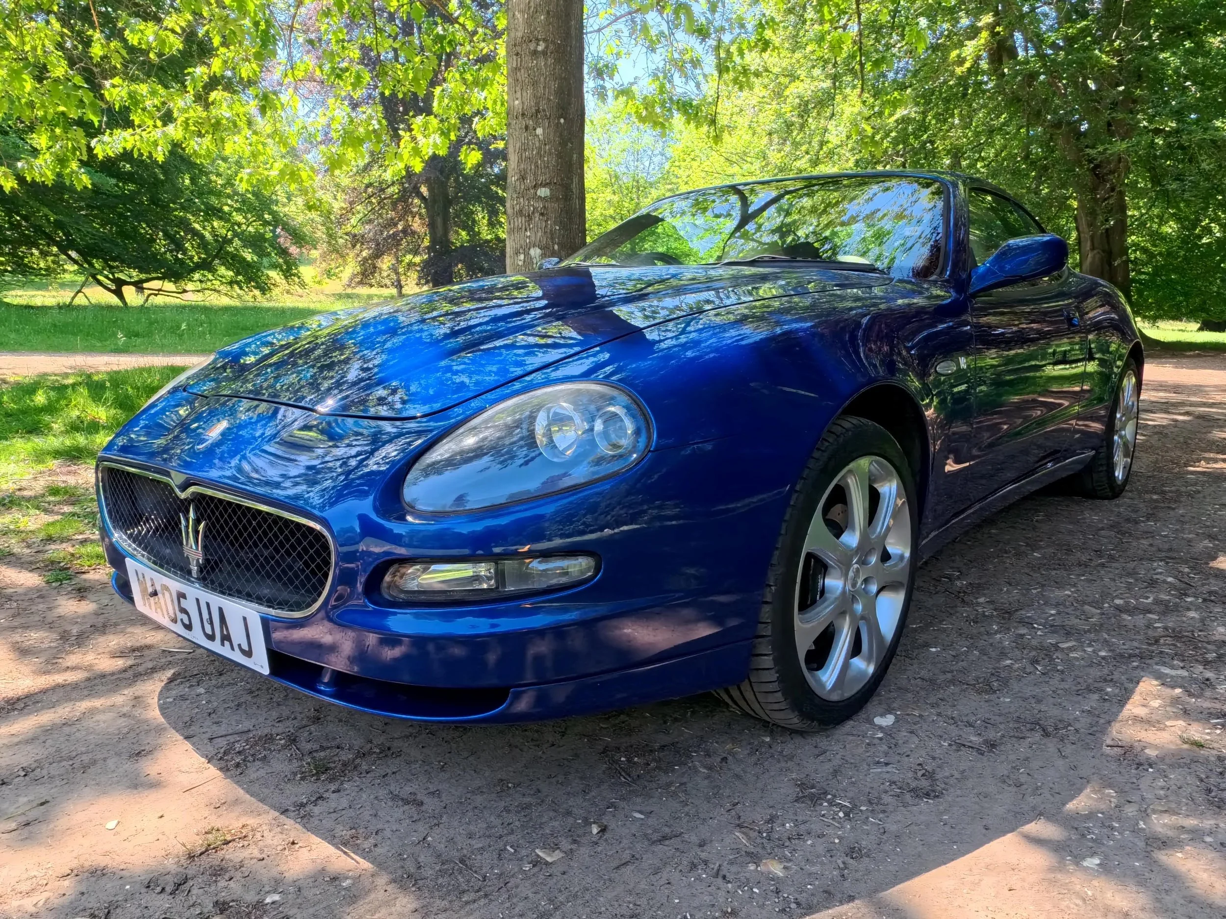 A shiny blue sports car parked on a dirt path among green trees and foliage, with sunlight creating reflections on the car's surface.