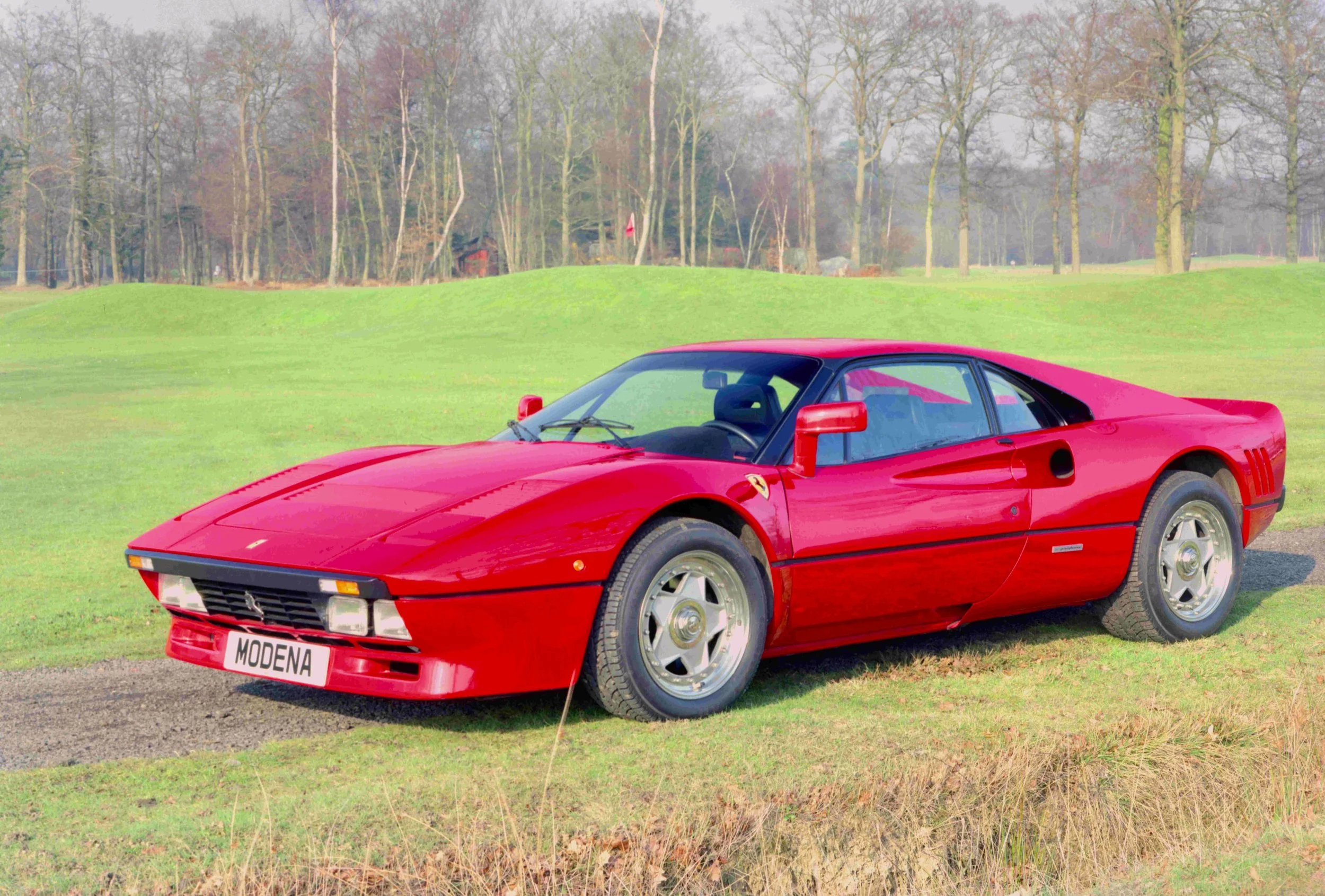 Red Ferrari sports car parked on grass near trees, with a license plate reading "MODENA".