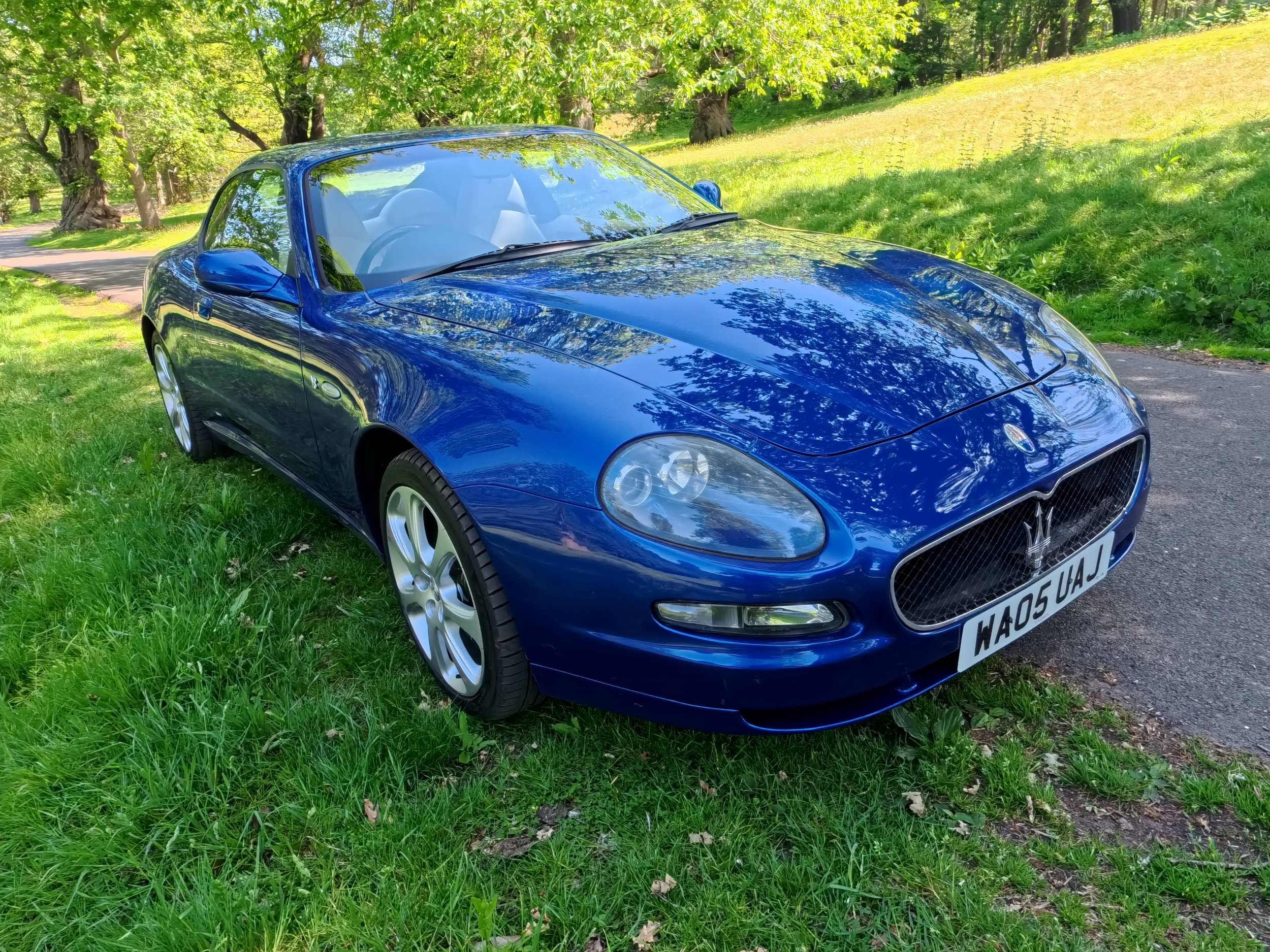 A blue sports car parked on a grassy area surrounded by trees in a park-like setting.