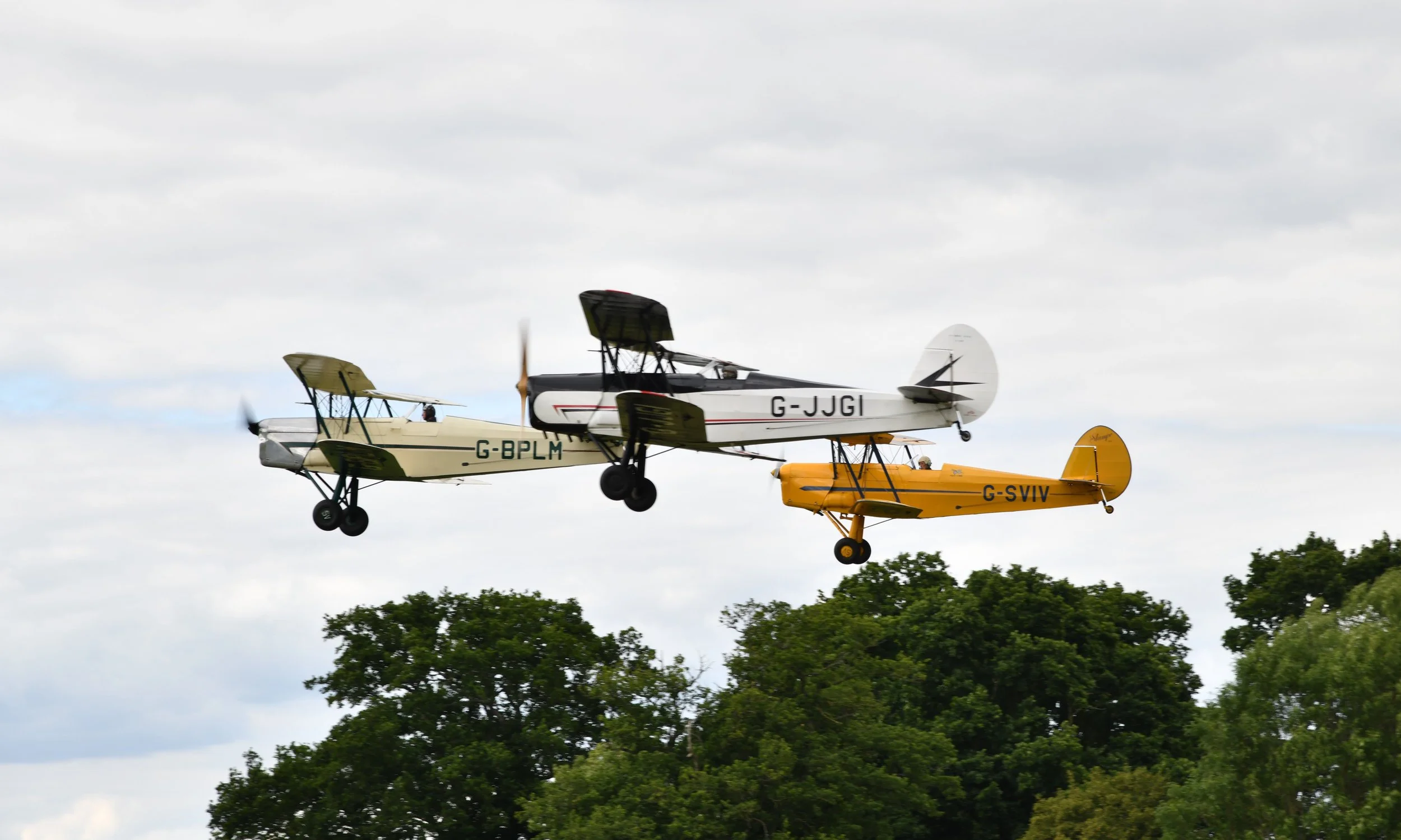 Three vintage propeller airplanes flying low over trees on a cloudy day.