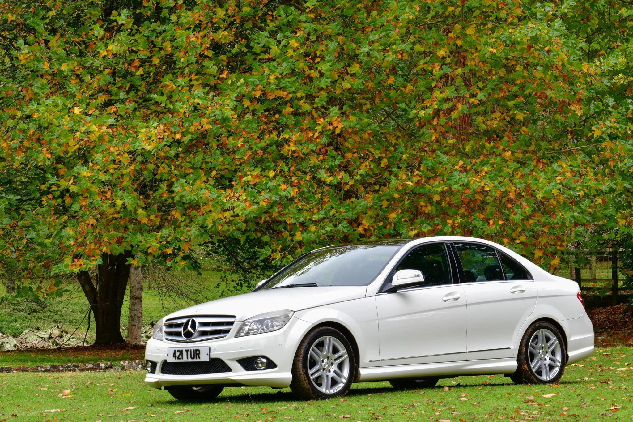 A white Mercedes-Benz car parked on a grassy area in front of a large tree with green and yellow leaves, indicating fall.