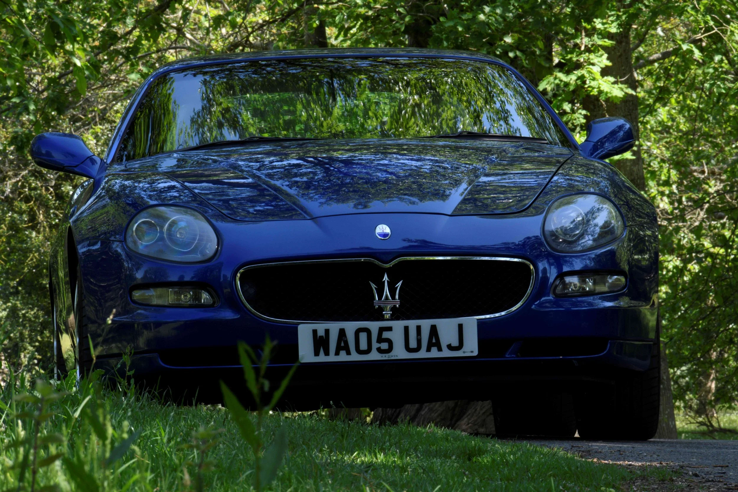 Front view of a blue Maserati sports car parked on a grassy area among trees, with reflections of leaves visible on the windshield.