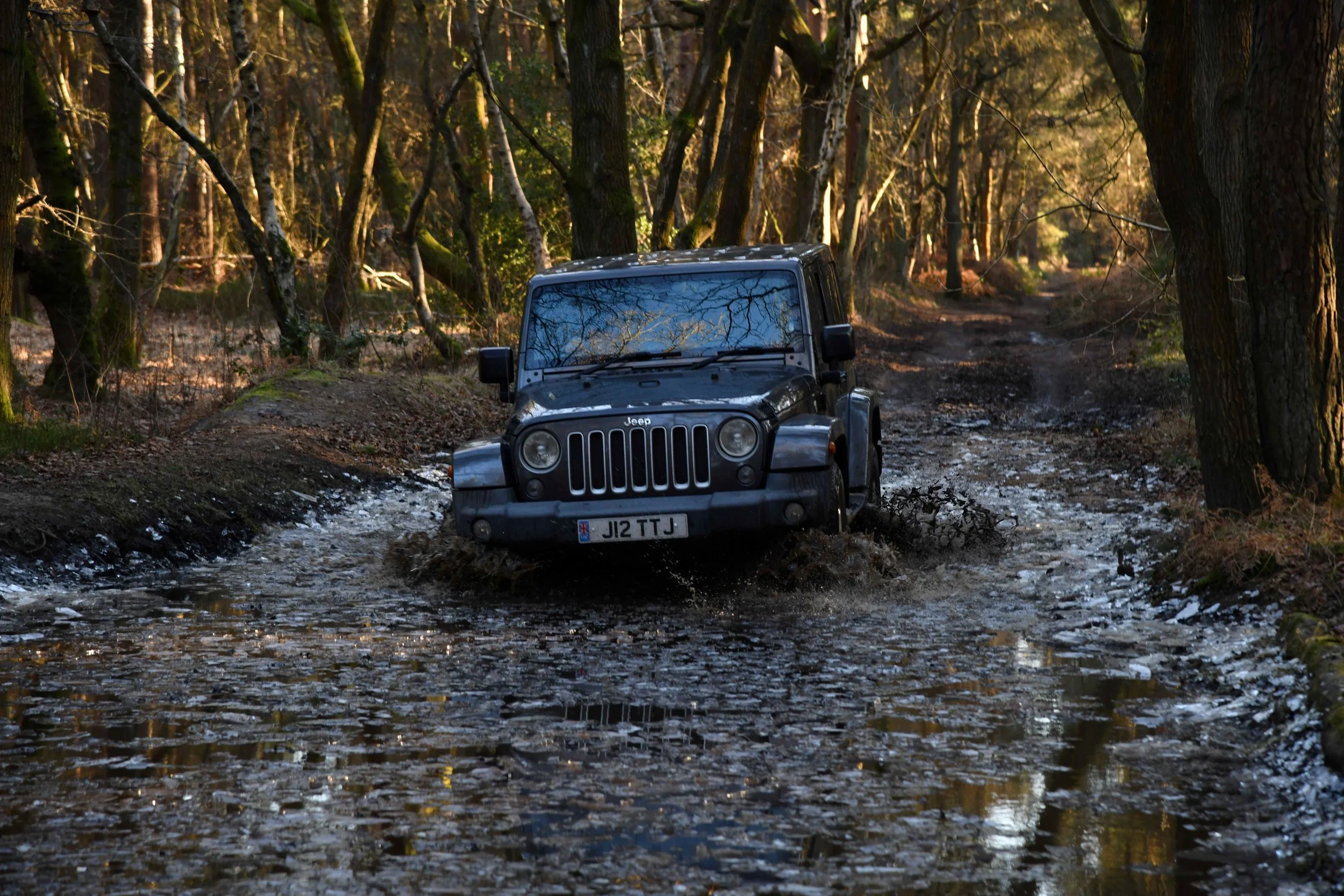 A black Jeep parked on a muddy, waterlogged forest trail with leafless trees and dry leaves scattered on the ground, bathed in warm, golden sunlight.