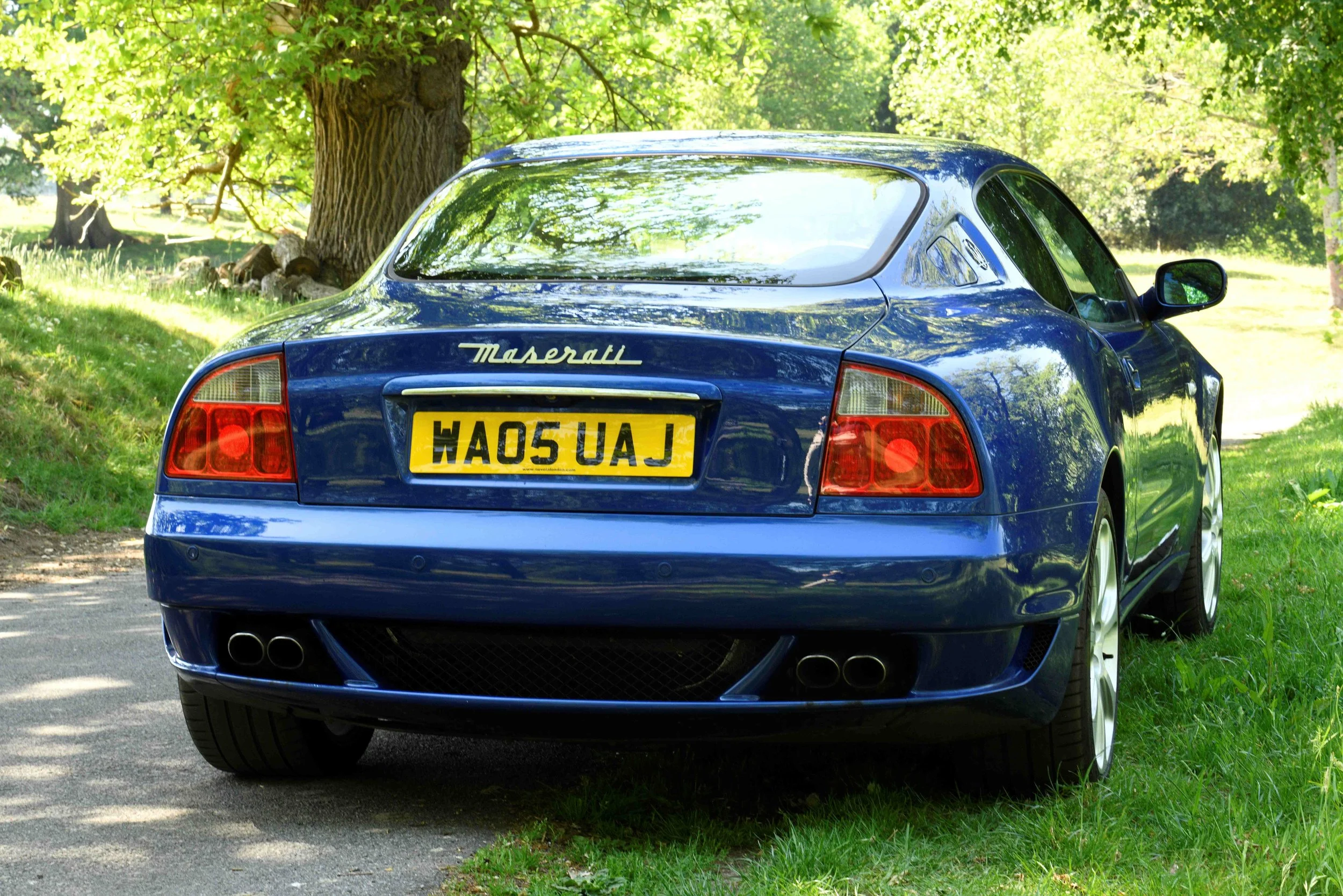 A blue Maserati sports car parked on a grassy area under large tree with green leaves, in a sunny outdoor setting.