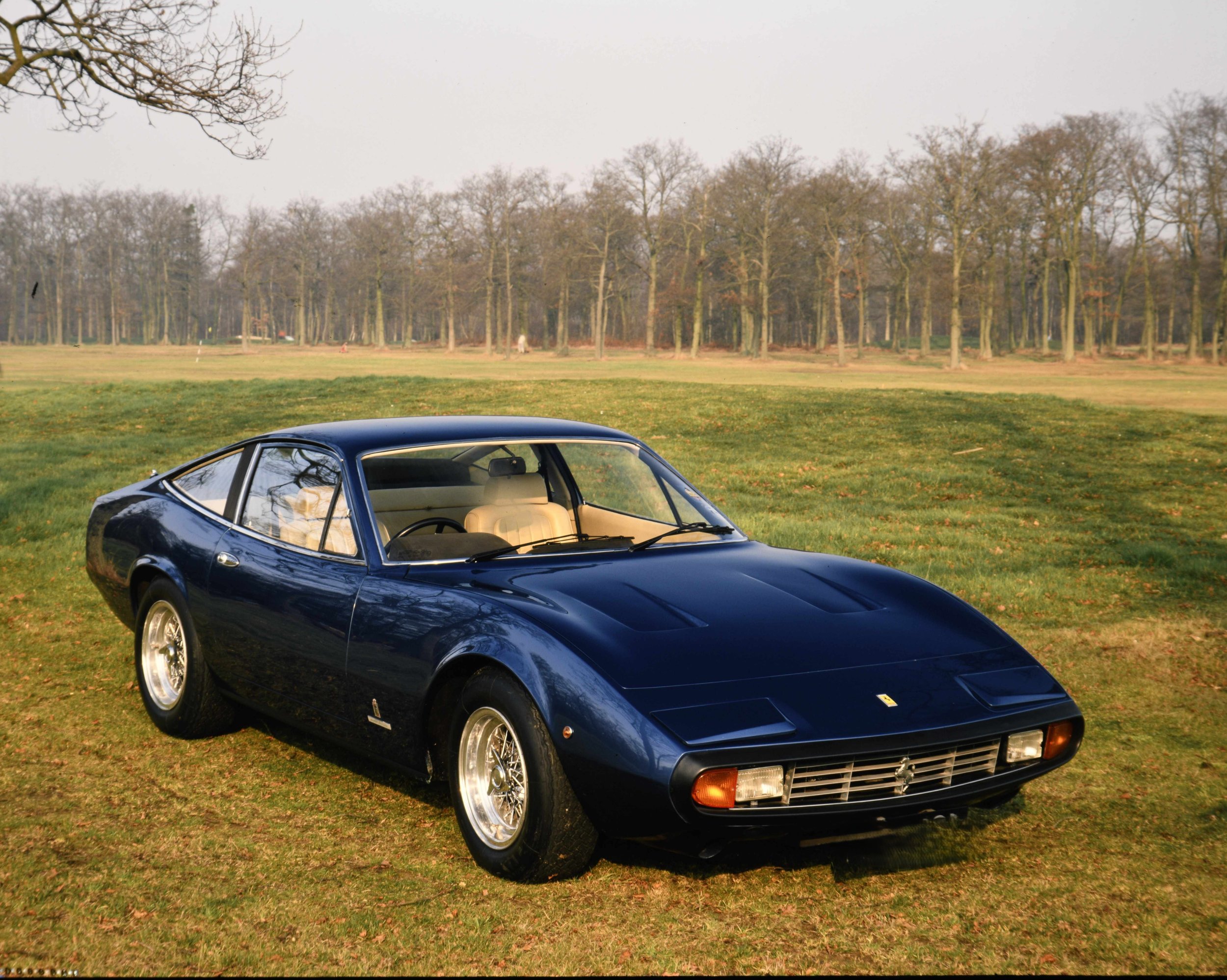 A vintage sports car painted dark blue, parked on a grassy field with a line of leafless trees in the background, under an overcast sky.