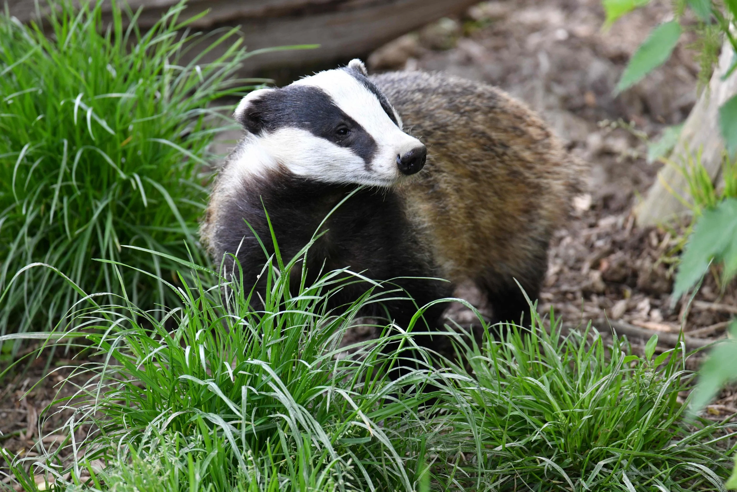 DSC_2295o.JPG