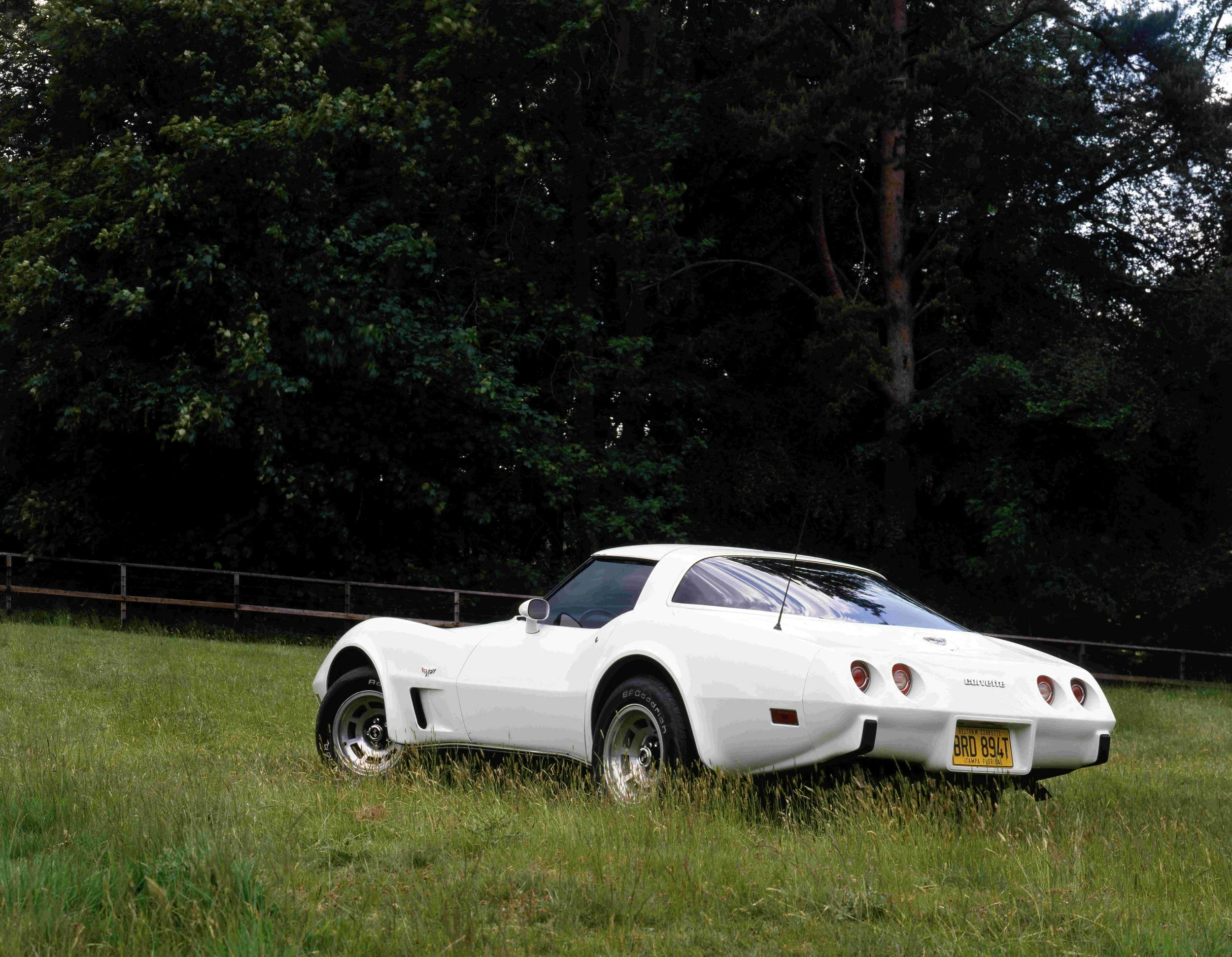 A white Chevrolet Corvette sports car parked on a grassy area in front of a wooden fence, with tall trees in the background and a partly cloudy sky.