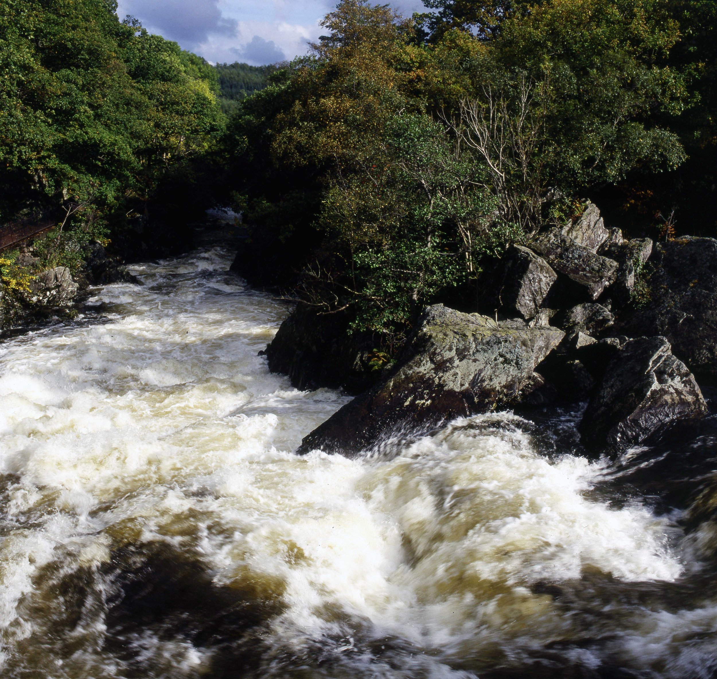 Fast-moving stream with white water flowing over rocks in a forested area with trees and partly cloudy sky in the background.