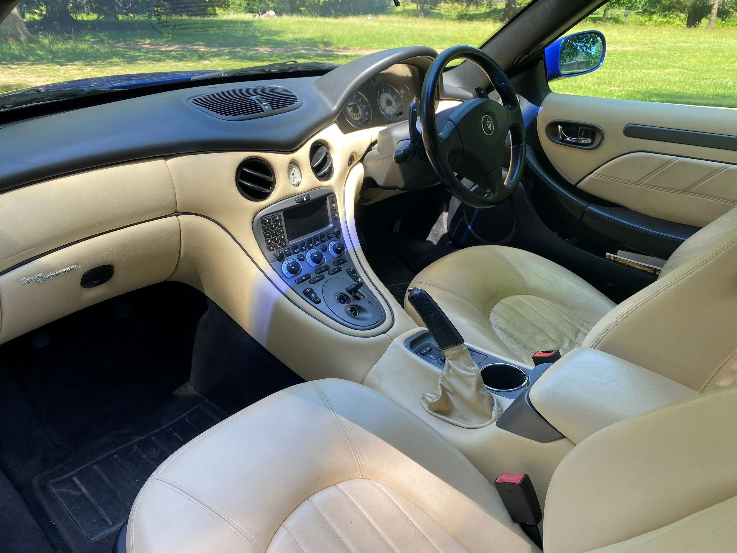Interior view of a car with beige leather seats, dashboard, steering wheel, and control panel, with a grassy landscape with trees visible through the windshield and side window.