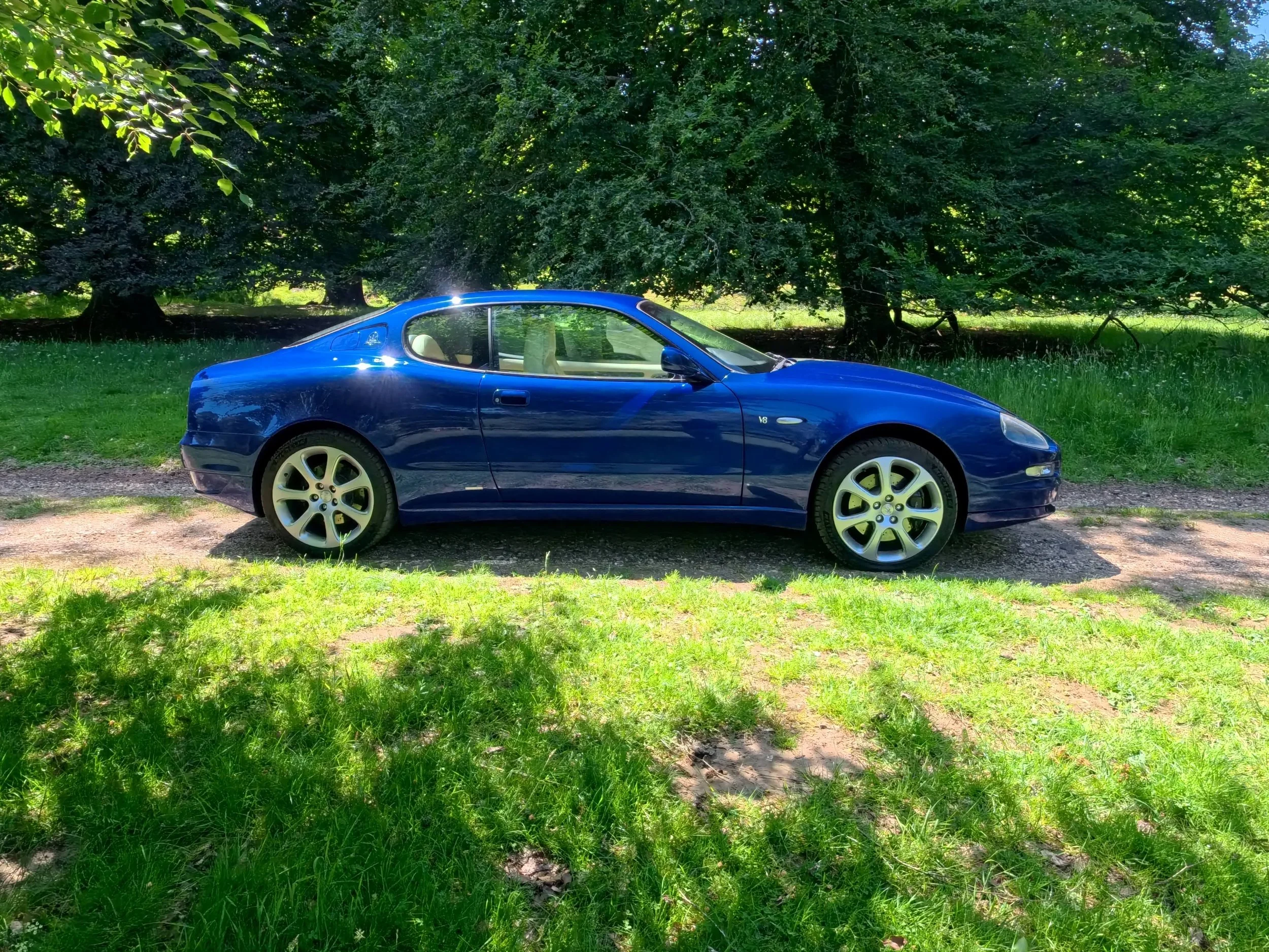 A blue sports car parked on grass underneath a large tree in a lush, green park with sunlight filtering through the leaves.