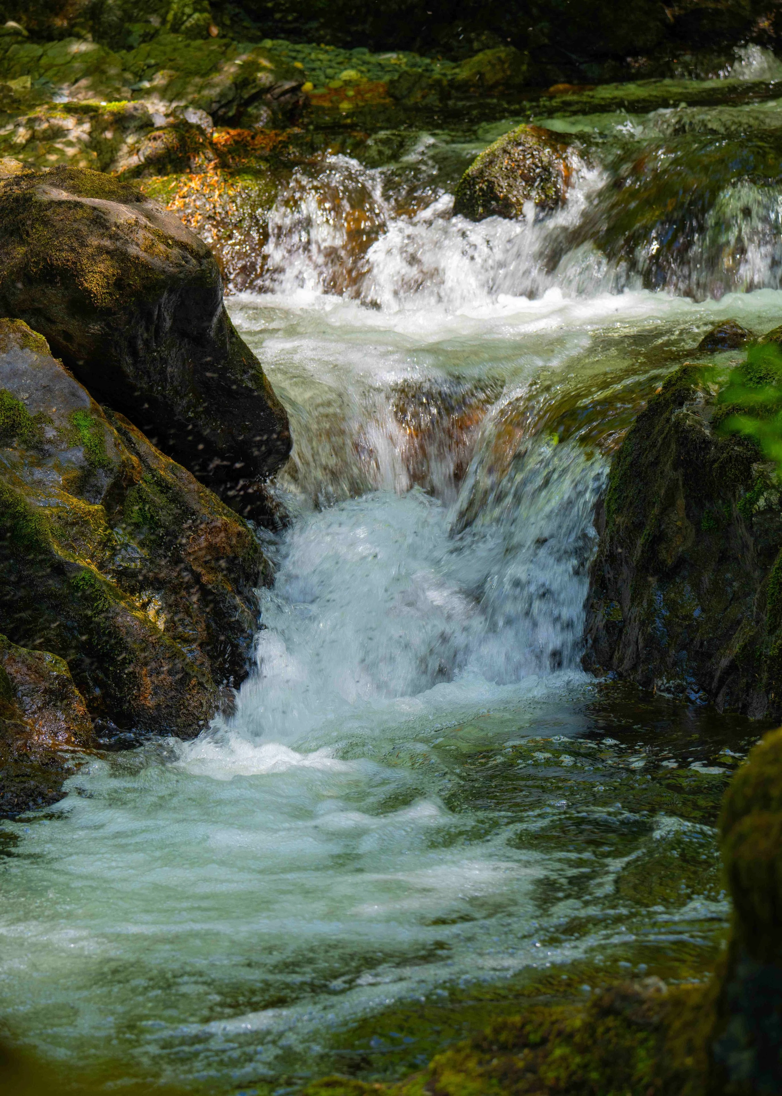 A small mountain stream flowing over moss-covered rocks, with clear water and lush green surroundings.
