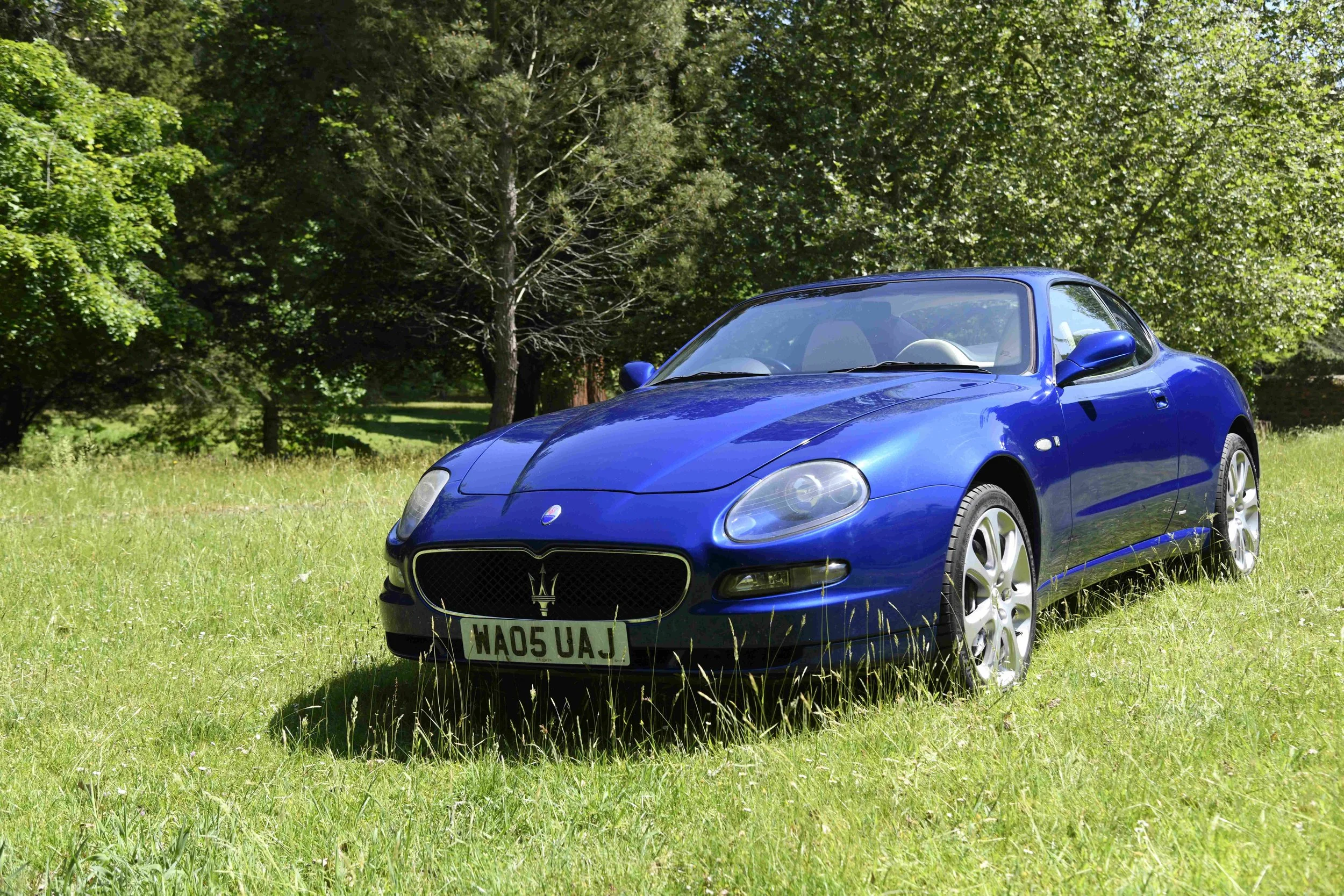 A blue sports car parked on green grass with trees in the background.