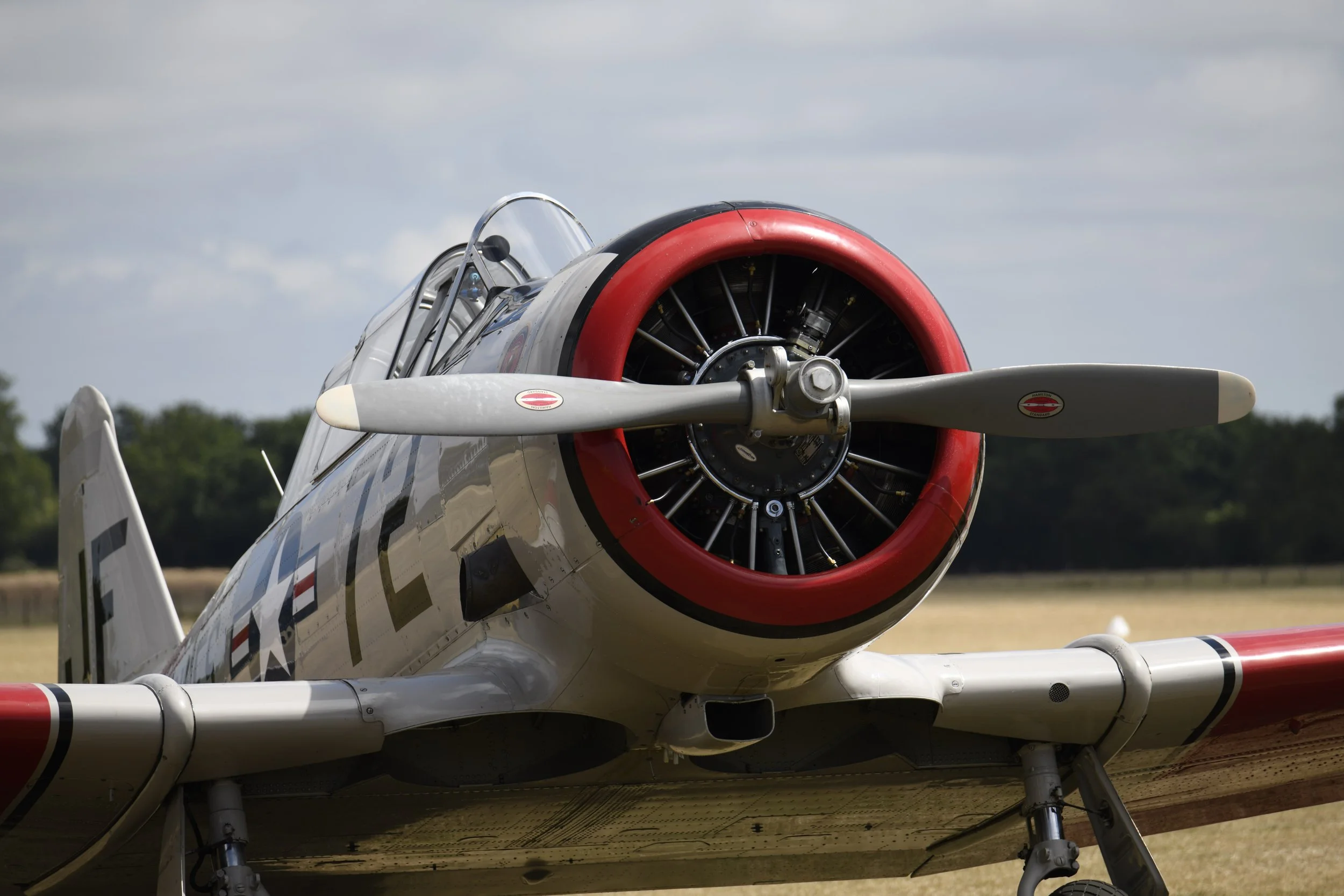 Close-up of a vintage propeller airplane's engine and nose, showing the propeller blades and radial engine with a red outer ring, set against a cloudy sky and trees in the background.