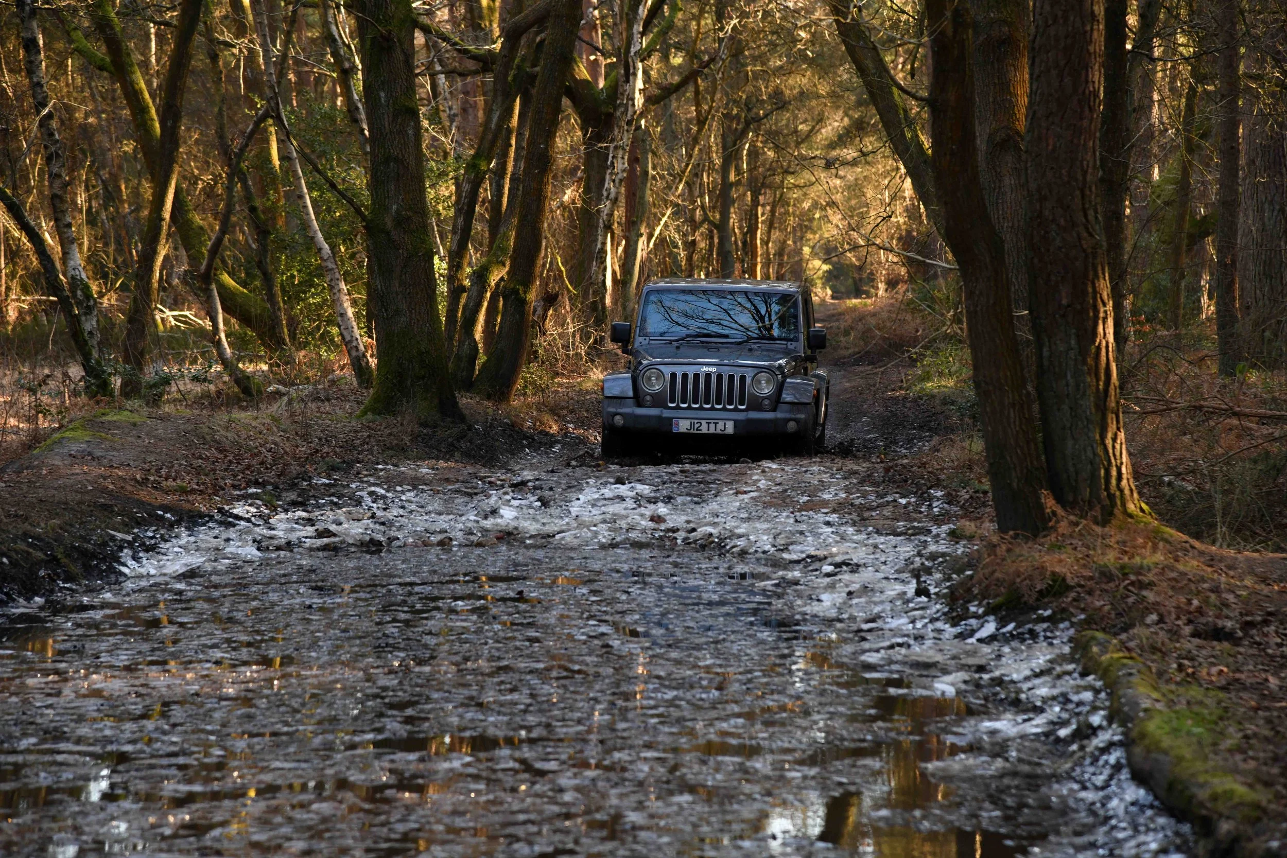 A black Jeep parked on a dirt trail in a dense forest with tall trees and sunlight filtering through the branches.