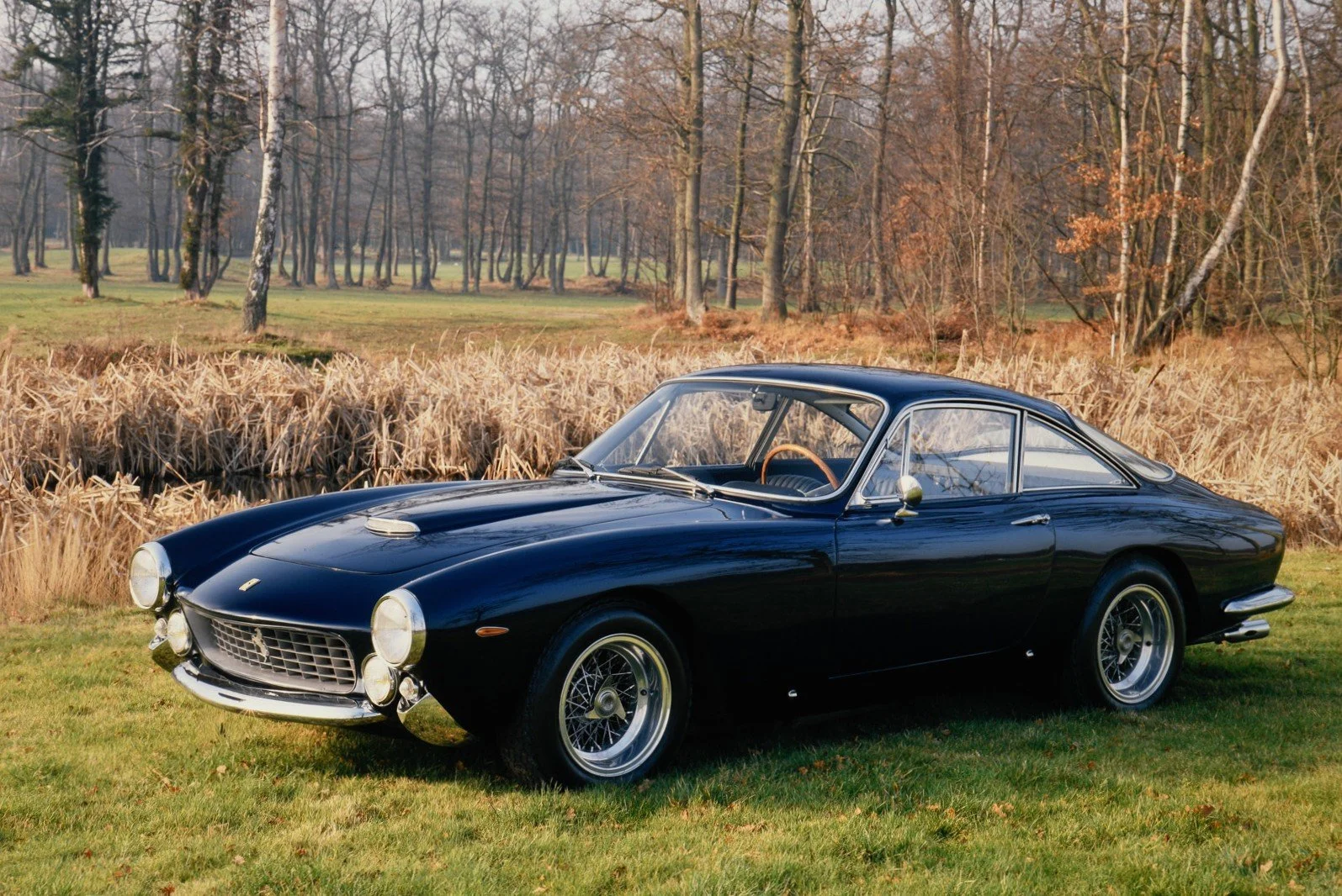A vintage black Ferrari parked on grass in a park during fall with trees and dried reeds in the background.